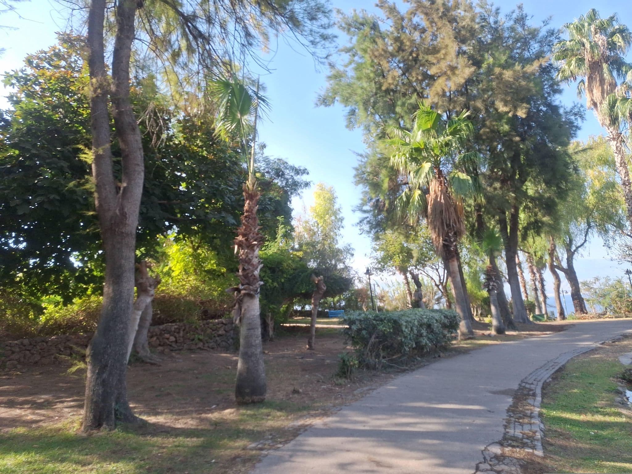 Street view near ADONİS, Muratpaşa — © Guria (CC BY-SA · Mapillary)