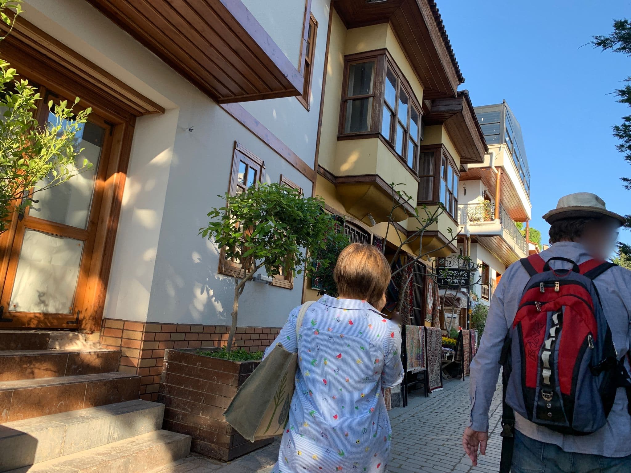 Street view near Dantel Pension, Antalya — © empty (CC BY-SA · Mapillary)