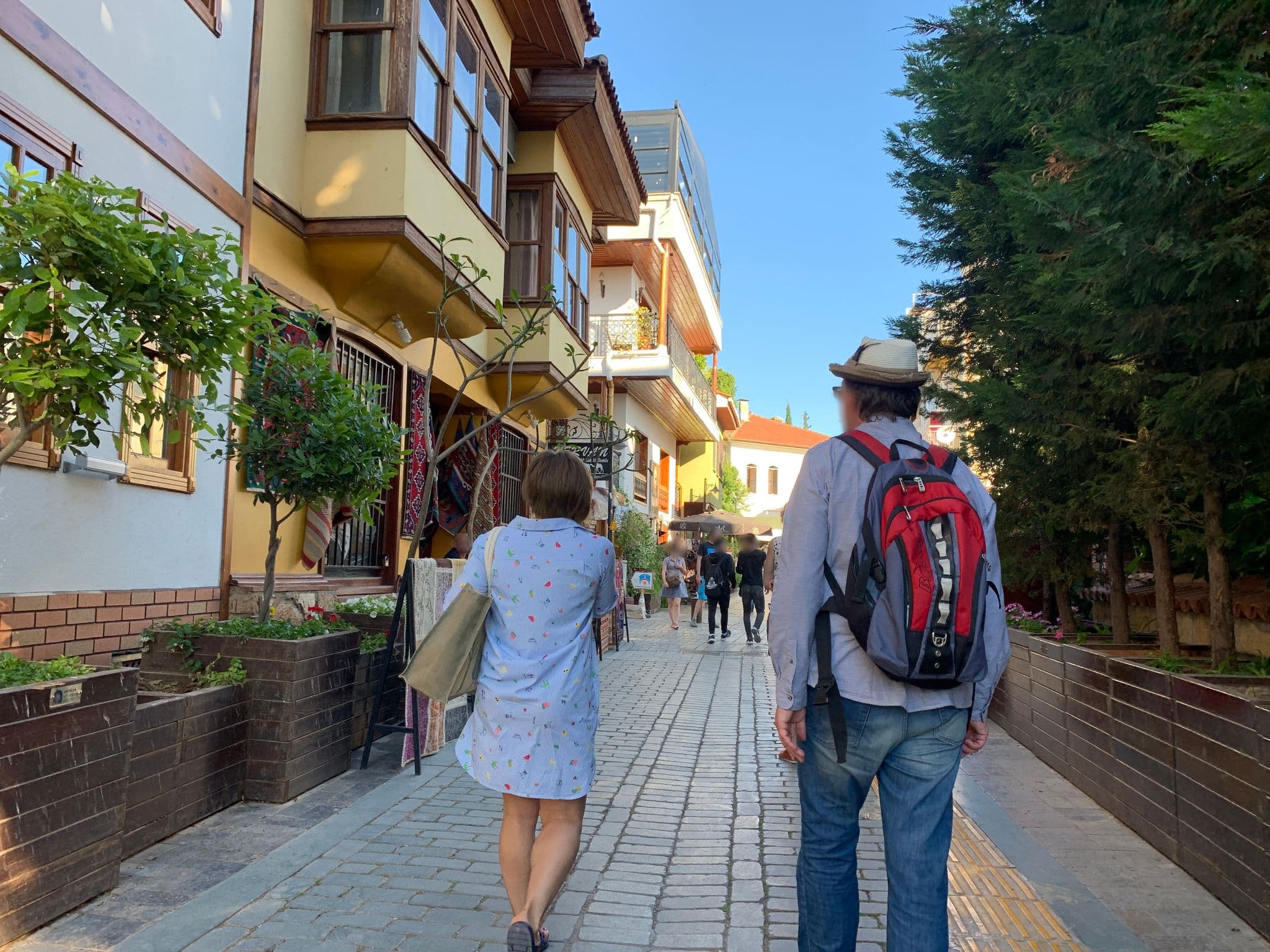 Street view near Eftalia Aqua Resort, Antalya — © empty (CC BY-SA · Mapillary)