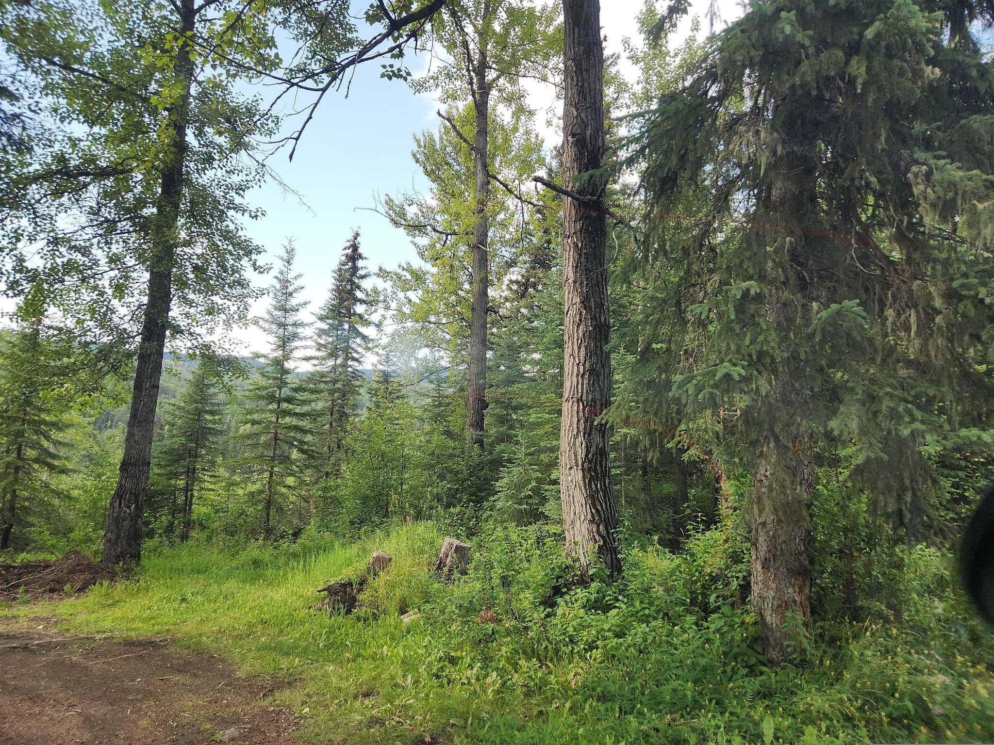 Street view near Windfall Creek Recreation Site, Chetwynd — © rps333 (CC BY-SA · Mapillary)