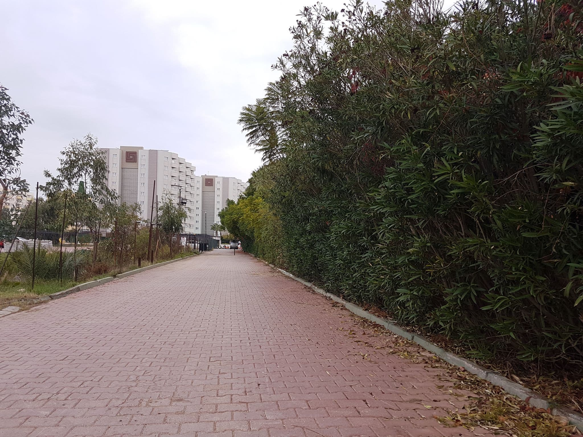 Street view near Chill Area R&E, Karaçallı — © medix (CC BY-SA · Mapillary)