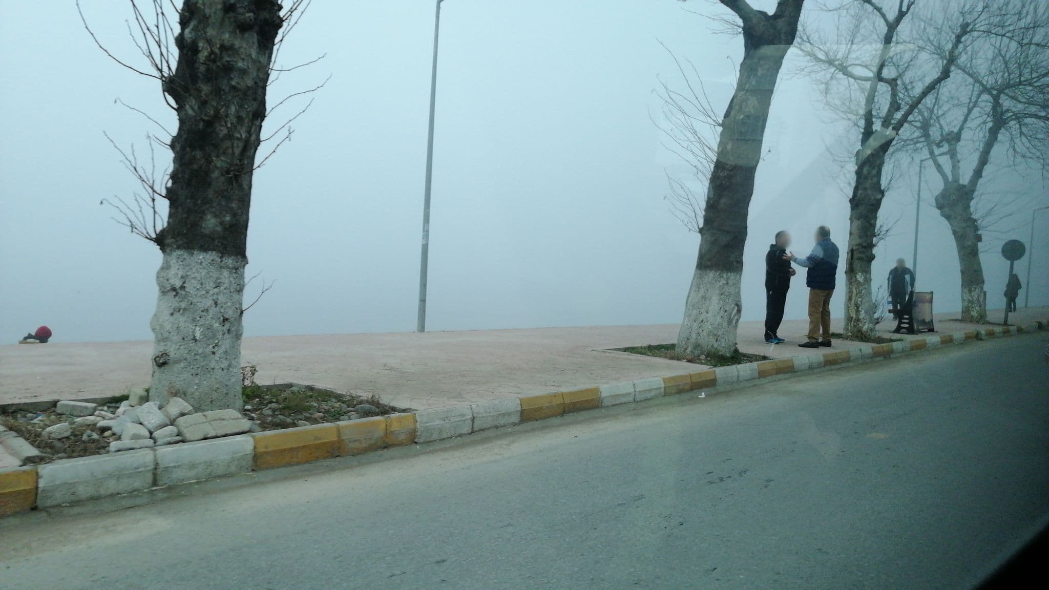 Street view near Nilton Hotel, Çınarcık — © bngsgln (CC BY-SA · Mapillary)
