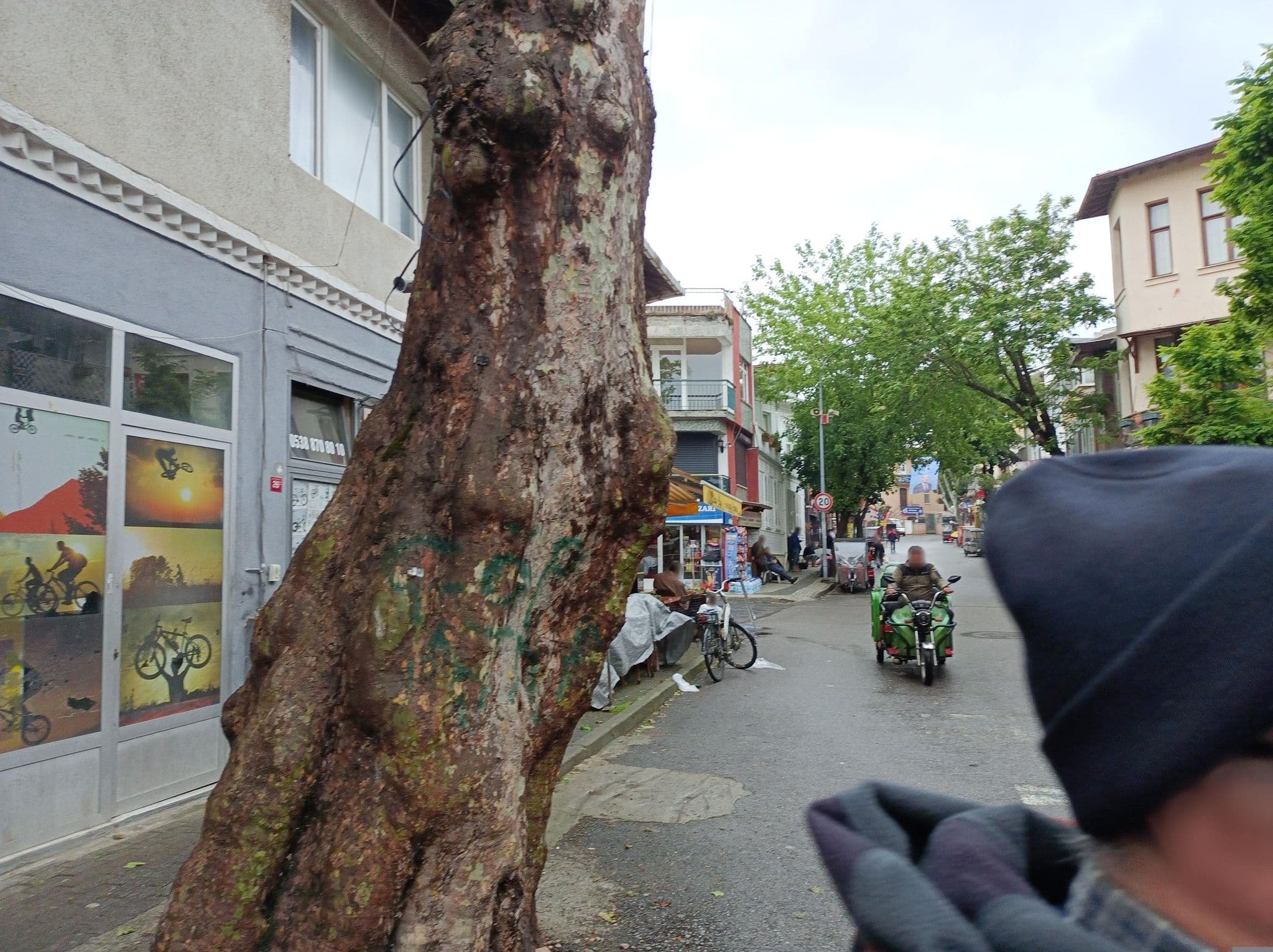 Street view near Mimoza Hotel, Adalar — © deleted_user (CC BY-SA · Mapillary)