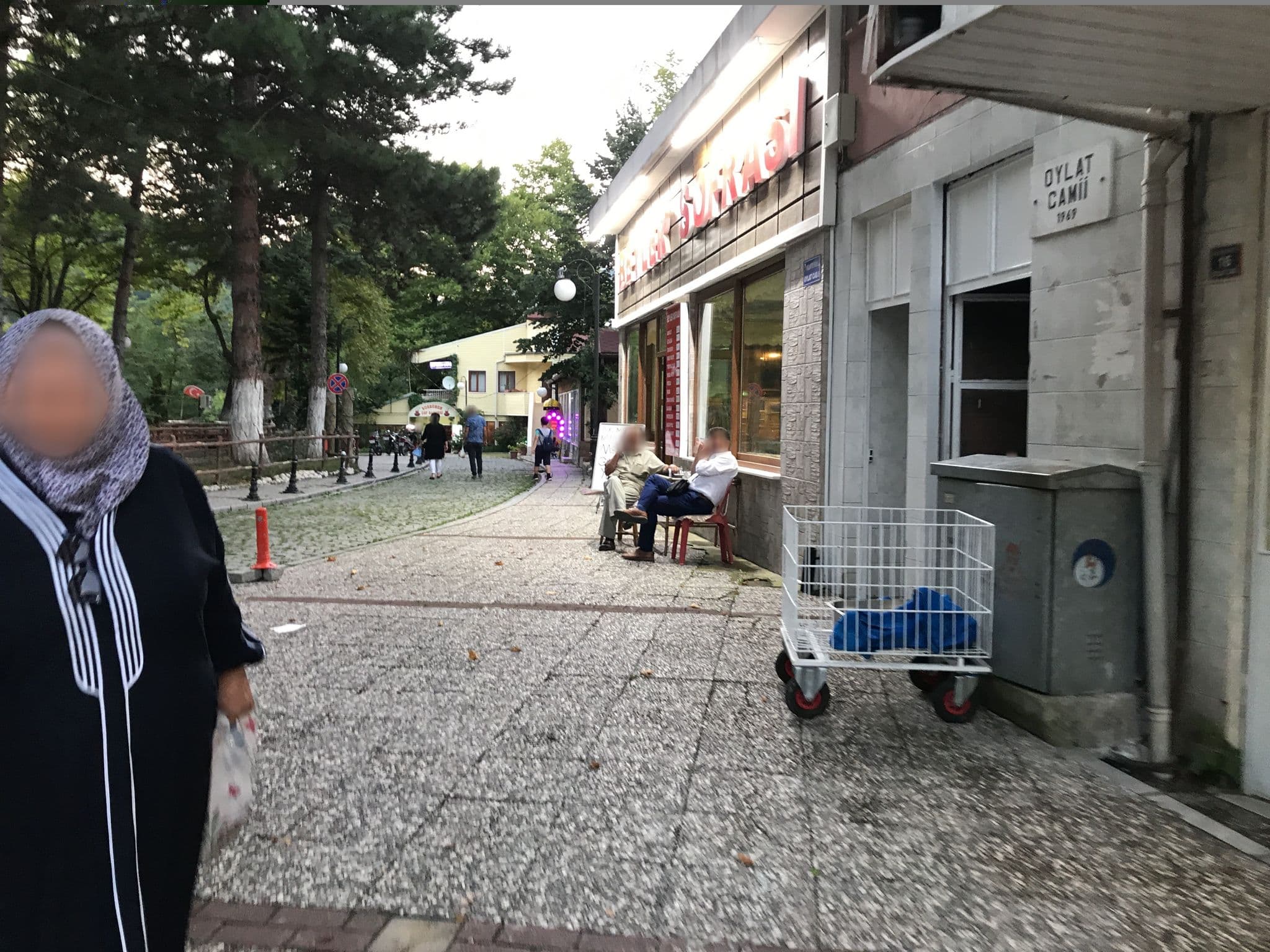 Street view near Aşiyan Otel Olympic Swimming Pool, Domaniç — © azadezey (CC BY-SA · Mapillary)