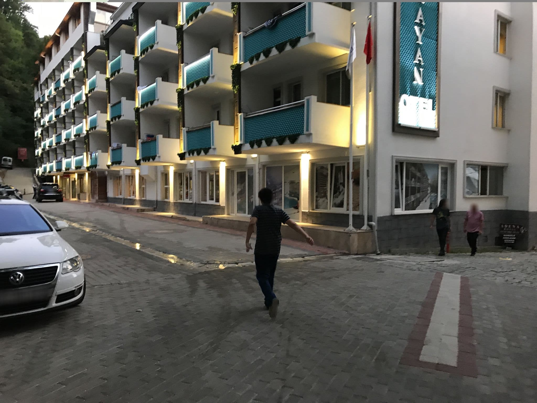 Street view near Aşiyan Otel, Domaniç — © azadezey (CC BY-SA · Mapillary)