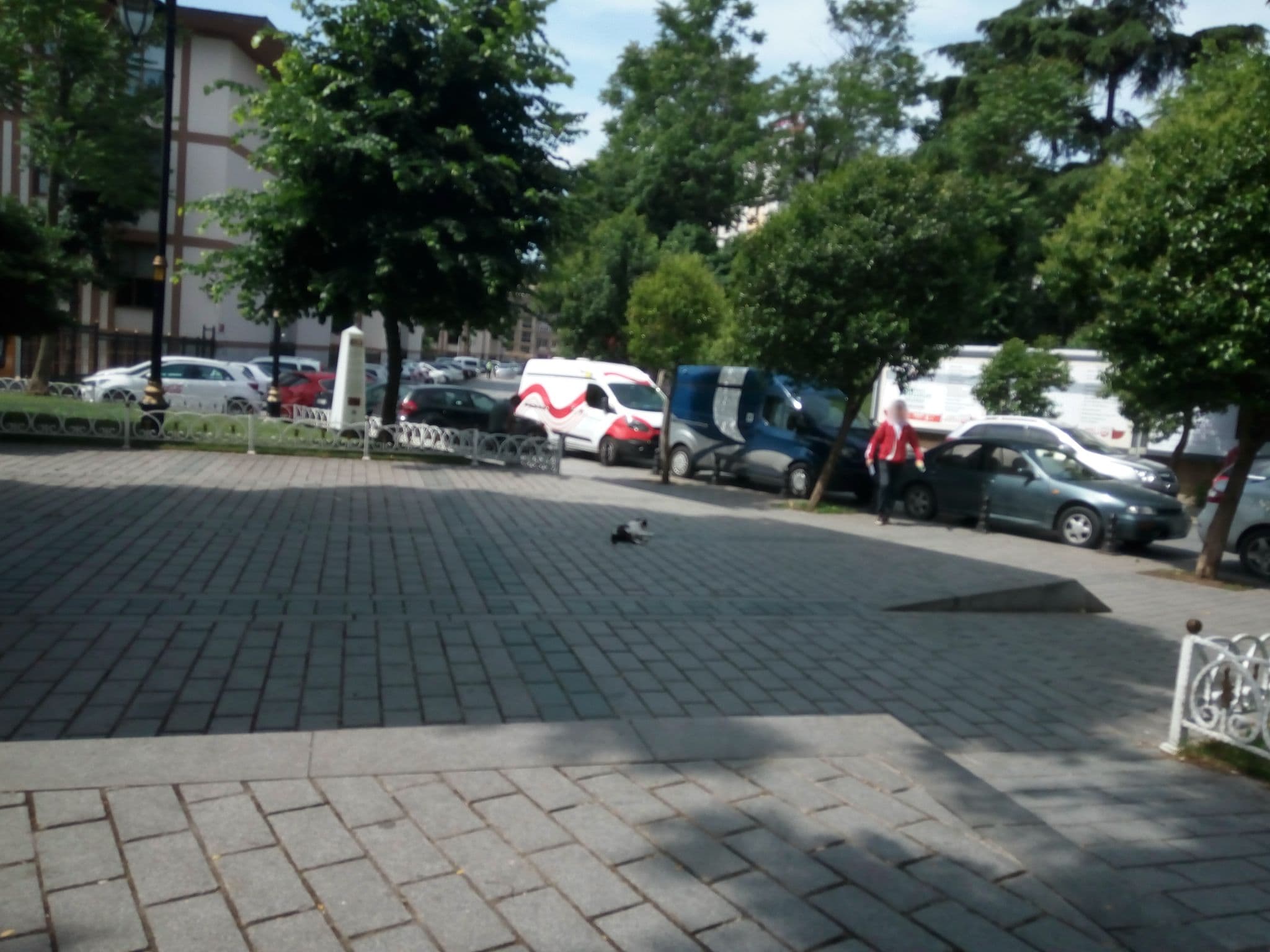 Street view near Golden Horn Hotel, Sultanahmet — © mapfool (CC BY-SA · Mapillary)