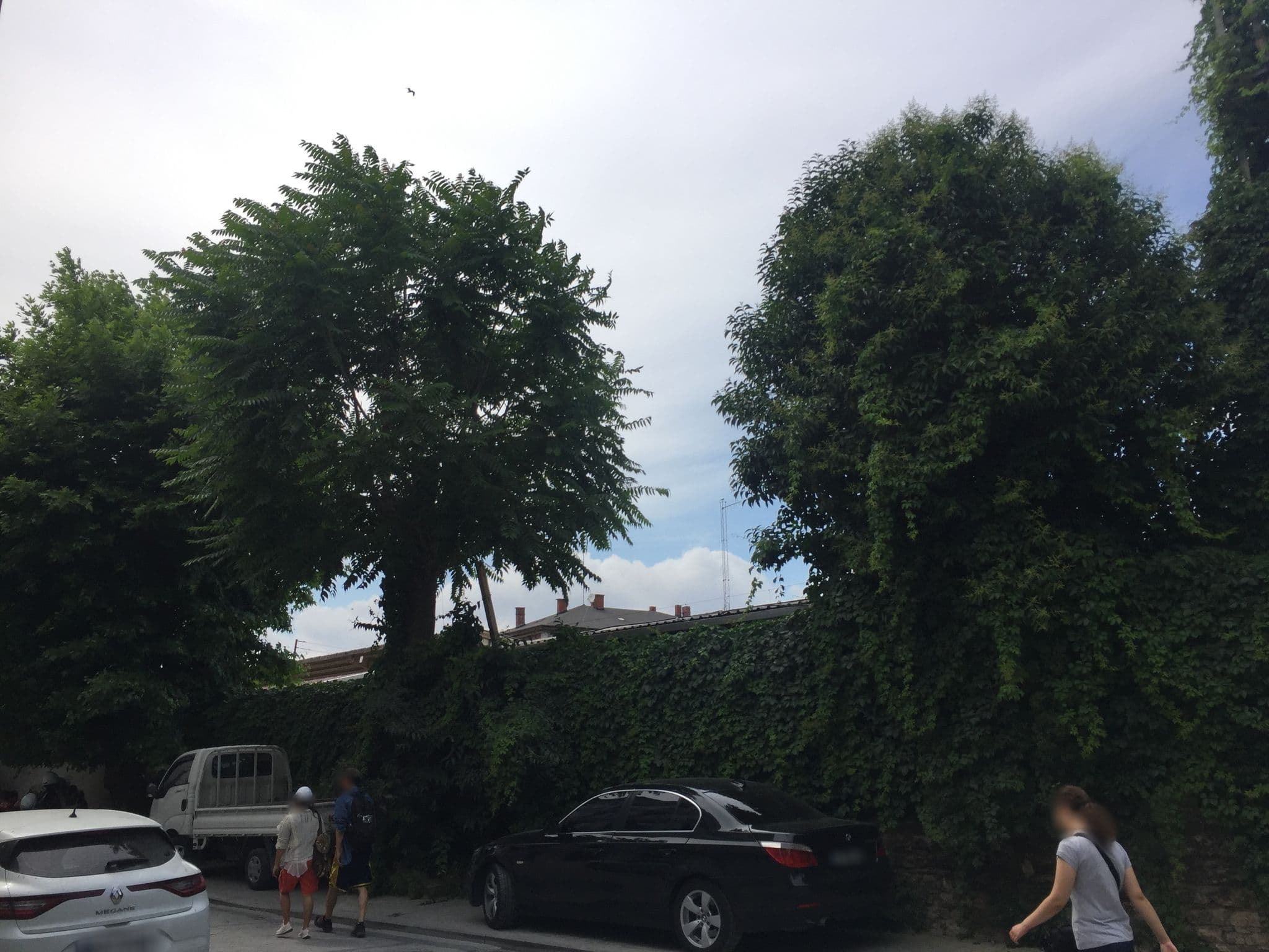 Street view near The Old Panorama Hotel, Eminönü — © sessiznotalar (CC BY-SA · Mapillary)