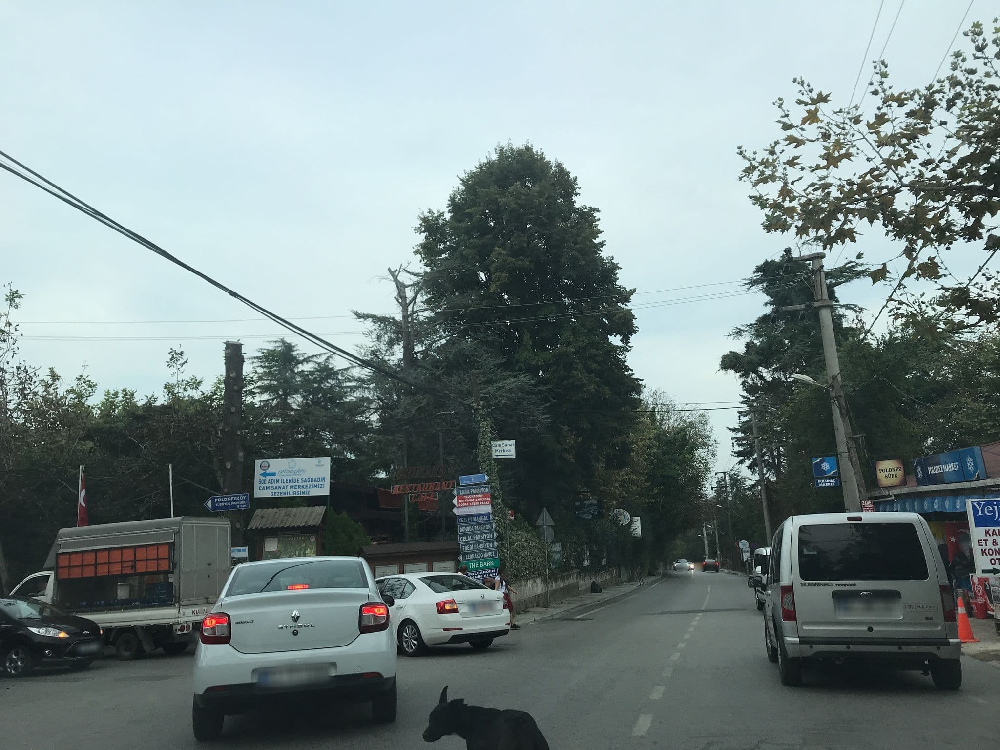 Street view near Melis Pansiyon, Zerzavatçı — © ferahkoksal (CC BY-SA · Mapillary)