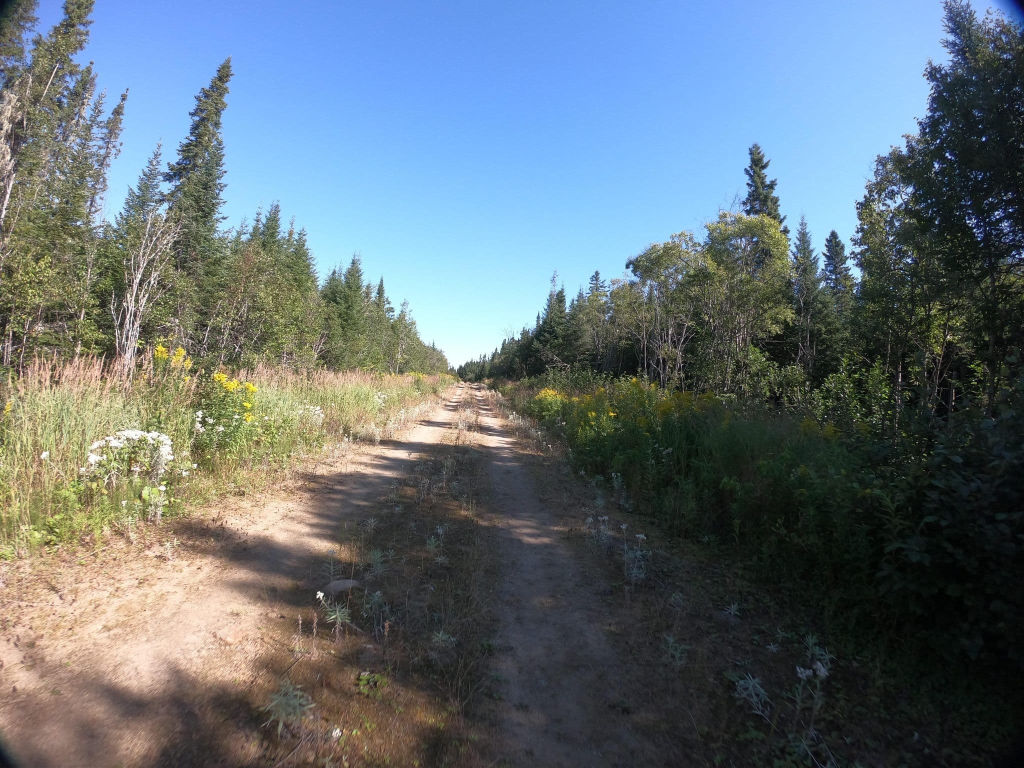 Street view near le Naturaliste, Beaupré — © pfbreton (CC BY-SA · Mapillary)
