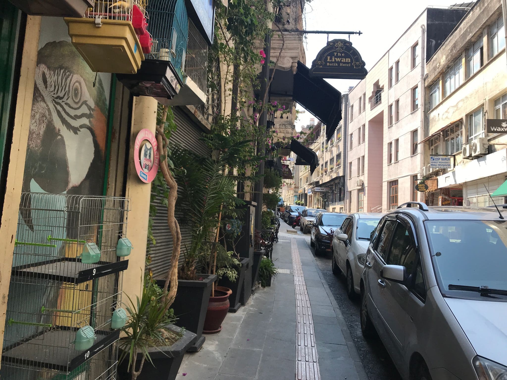 Street view near Şahinoğlu Otel, Antakya — © ferahkoksal (CC BY-SA · Mapillary)