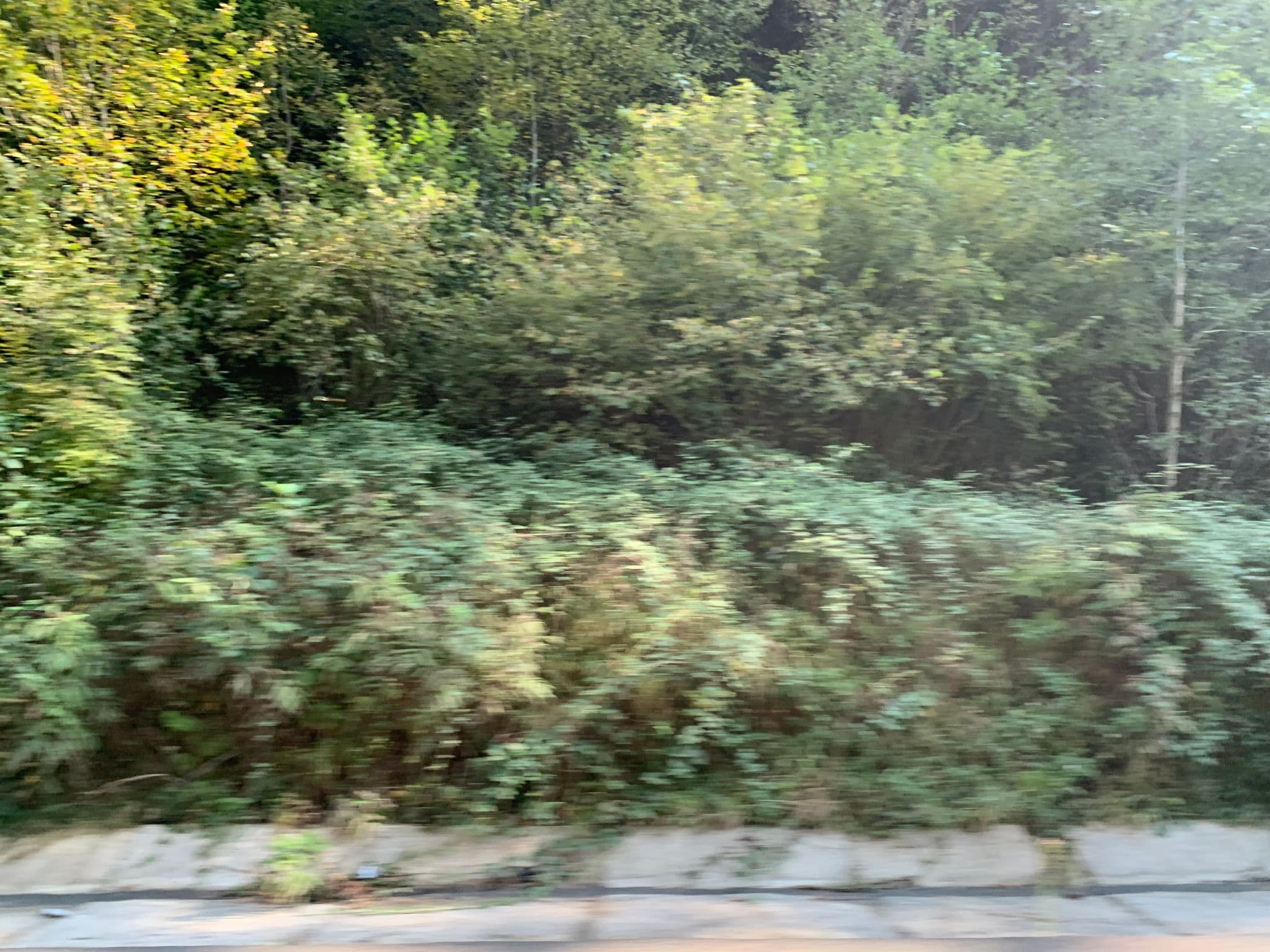 Street view near kır evi, Maçka — © robot8a (CC BY-SA · Mapillary)