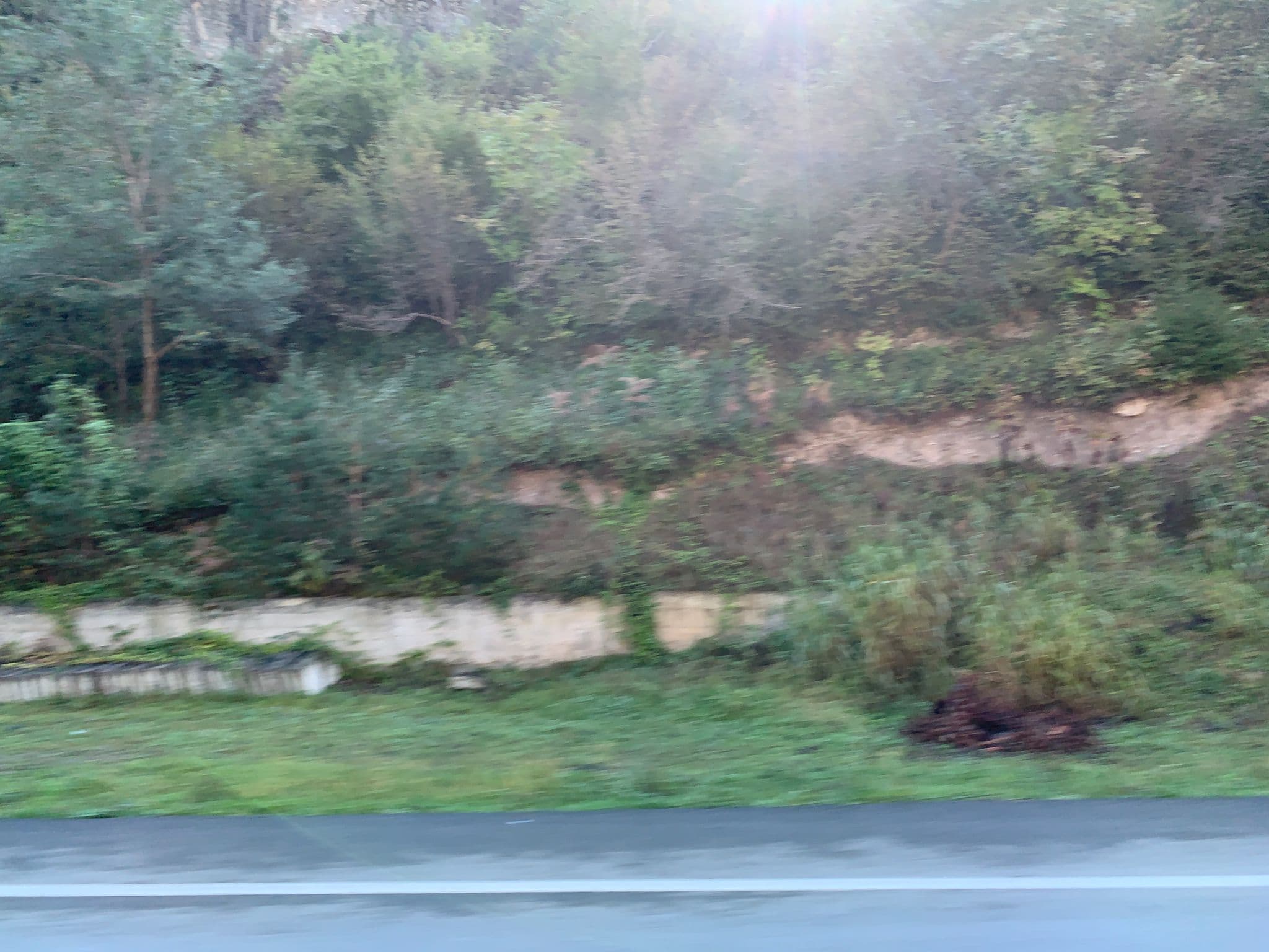 Street view near Altıntaş Pansiyon, Maçka — © robot8a (CC BY-SA · Mapillary)