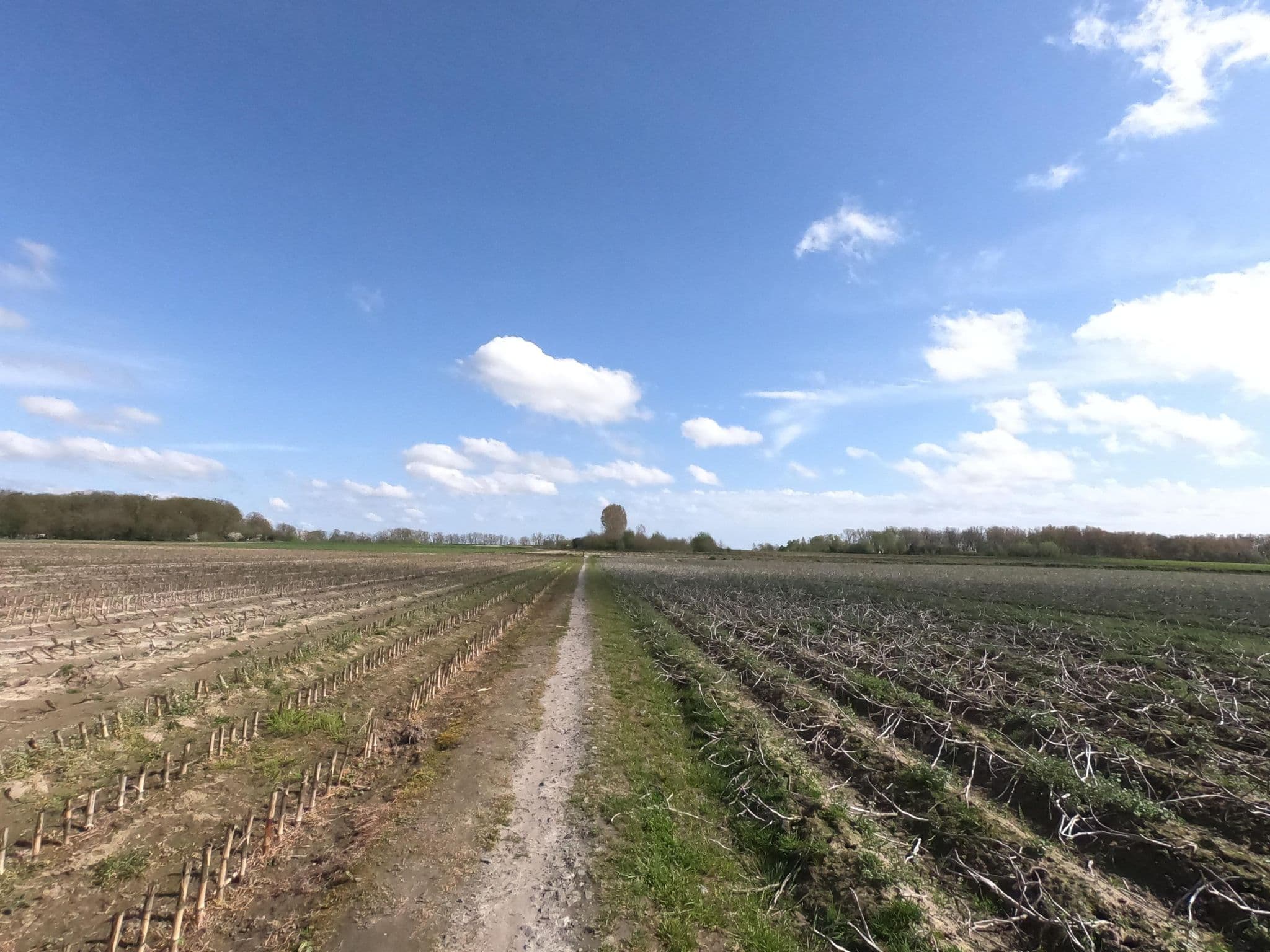 Street view near dakterras 4*, Dikkebus — © jakka (CC BY-SA · Mapillary)