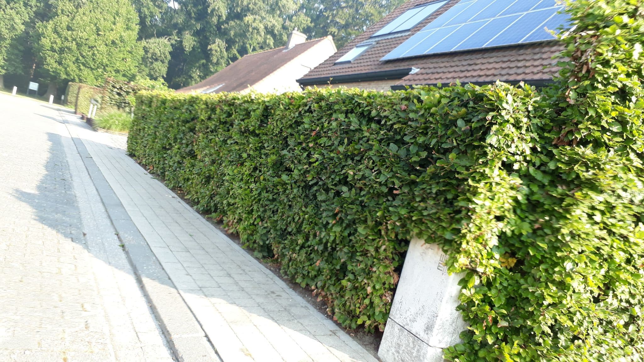 Street view near Woodside Bed & Breakfast, Aartrijke — © torhoutruimte (CC BY-SA · Mapillary)