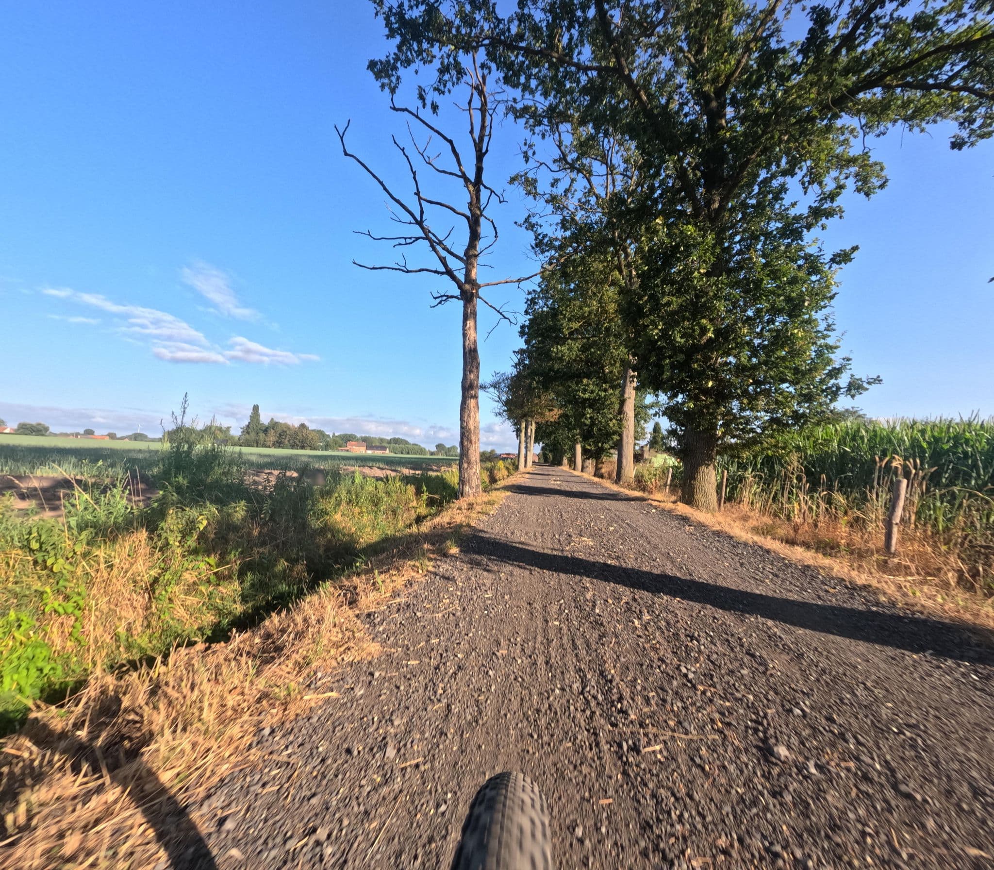 Street view near Chiro Altena @ Ruddervoorde, Ruddervoorde — © Stijnbrengtdewereldinbeeld (CC BY-SA · Mapillary)