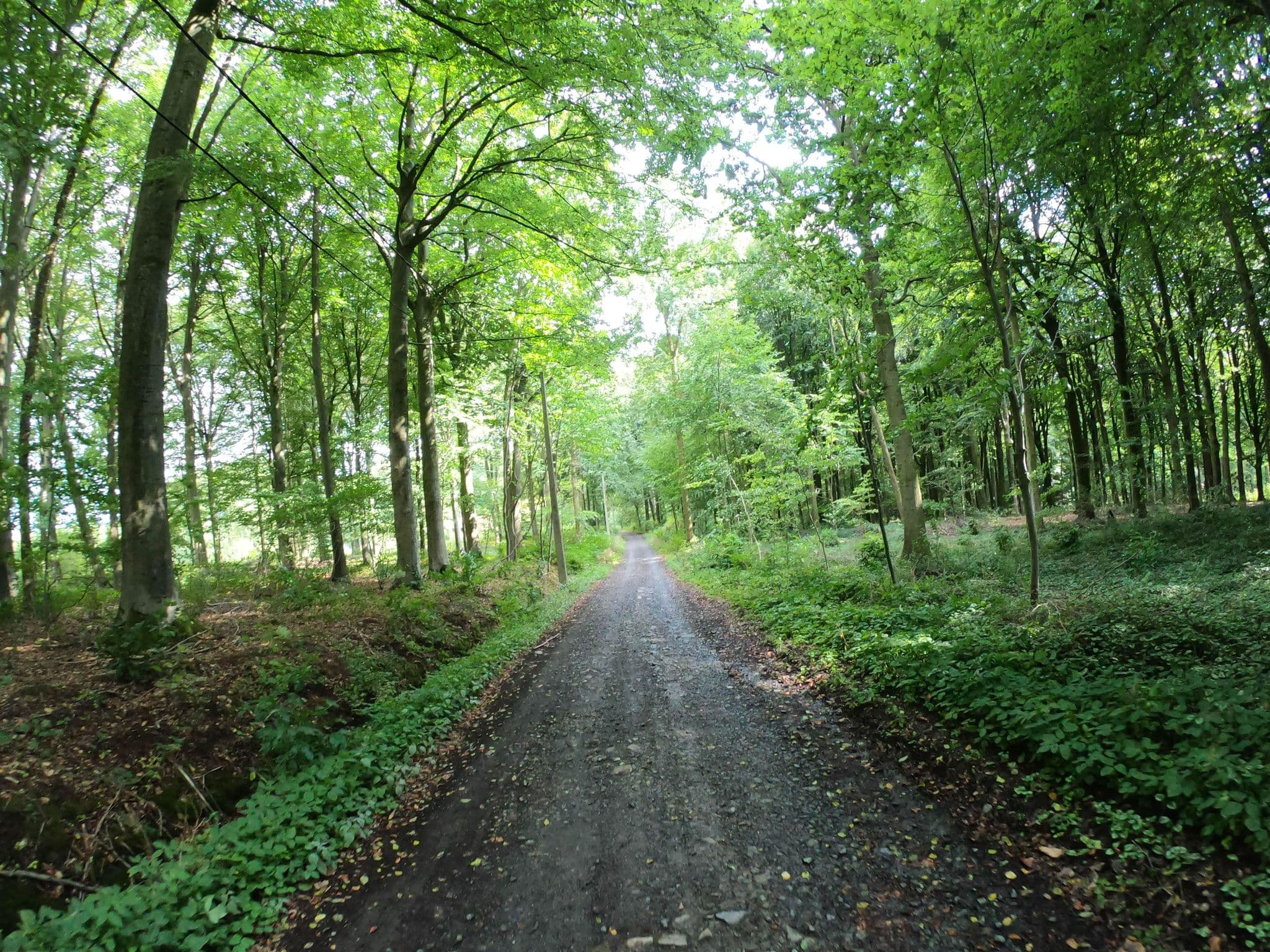 Street view near les hiboux, Ellezelles — © jygpronse (CC BY-SA · Mapillary)