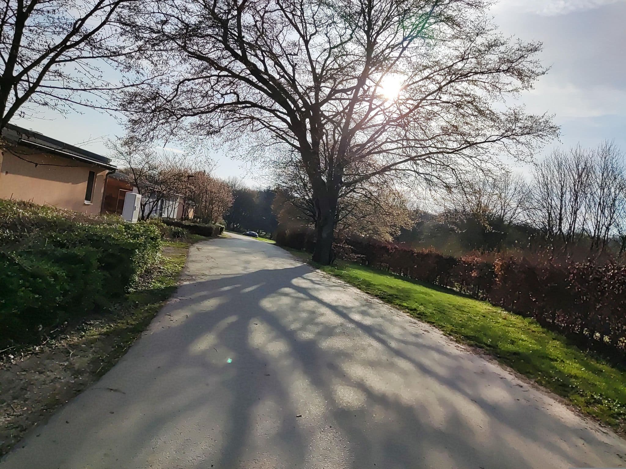 Street view near Bungalow 7, Cerfontaine — © t_hartung (CC BY-SA · Mapillary)