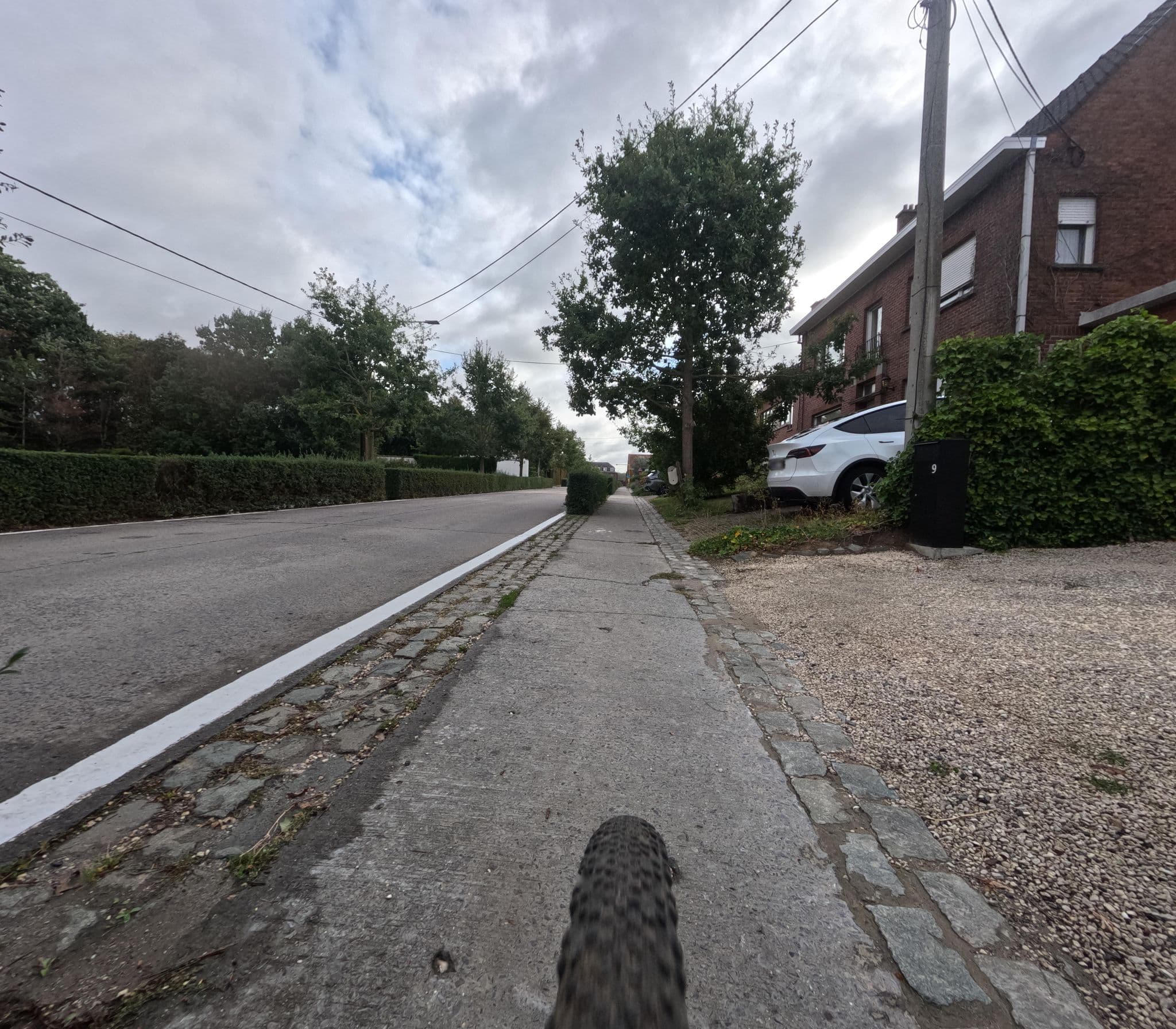 Street view near Aalbes en Hazelaar, Anzegem — © Stijnbrengtdewereldinbeeld (CC BY-SA · Mapillary)
