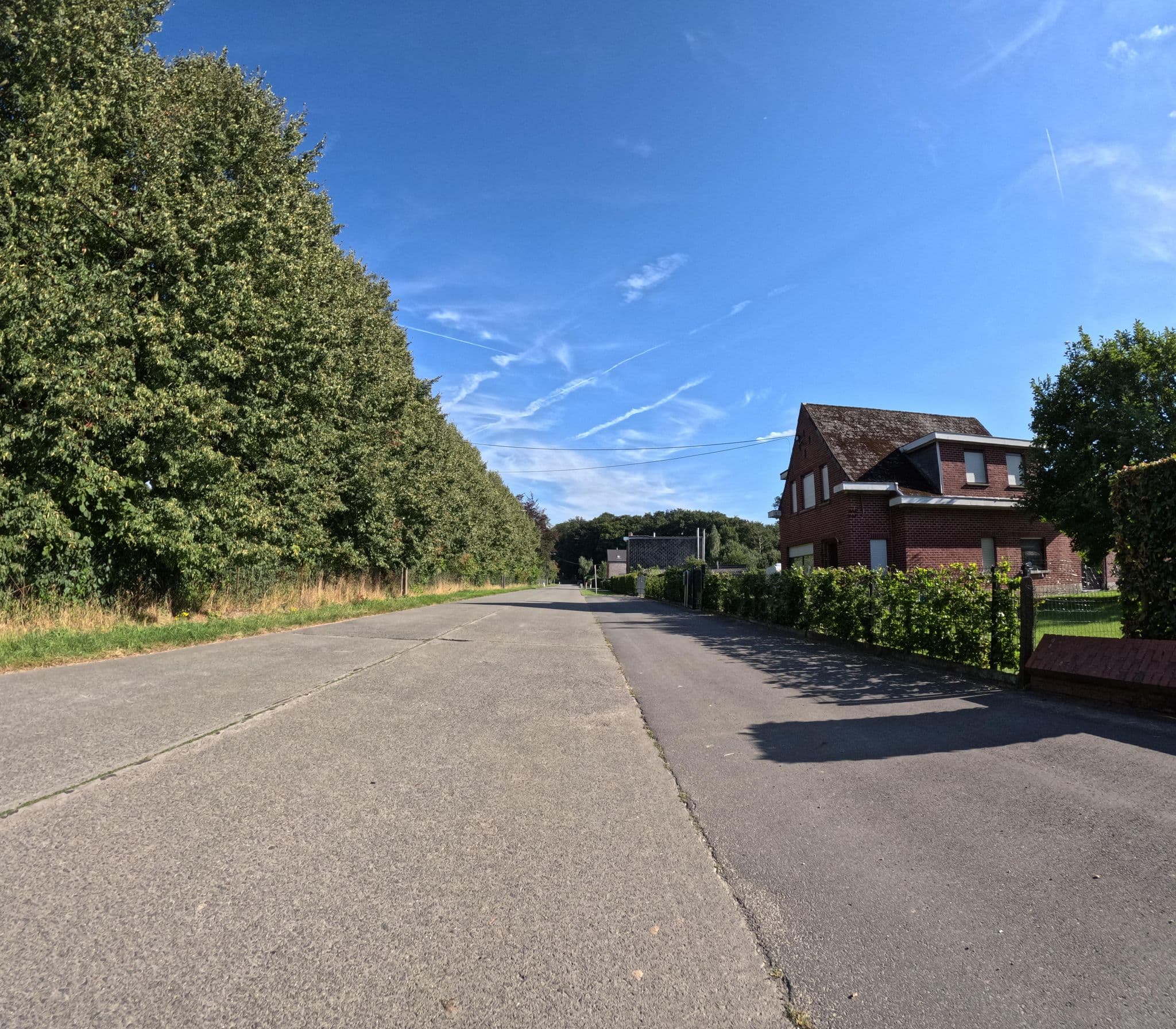 Street view near Taaienberg, Nukerke — © jygpronse (CC BY-SA · Mapillary)