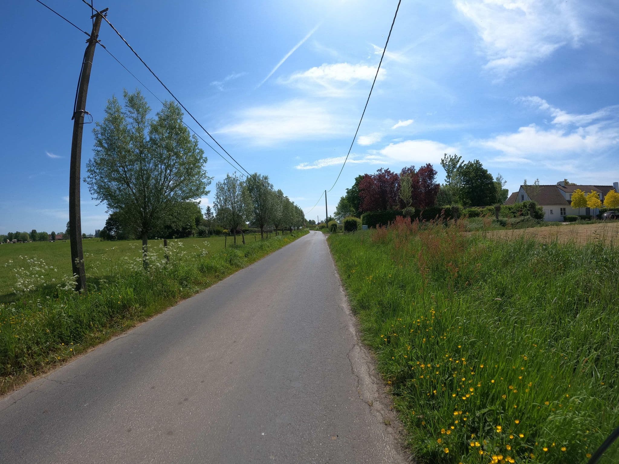 Street view near Roulotte Hartemeers, Kanegem — © thibaultmol (CC BY-SA · Mapillary)