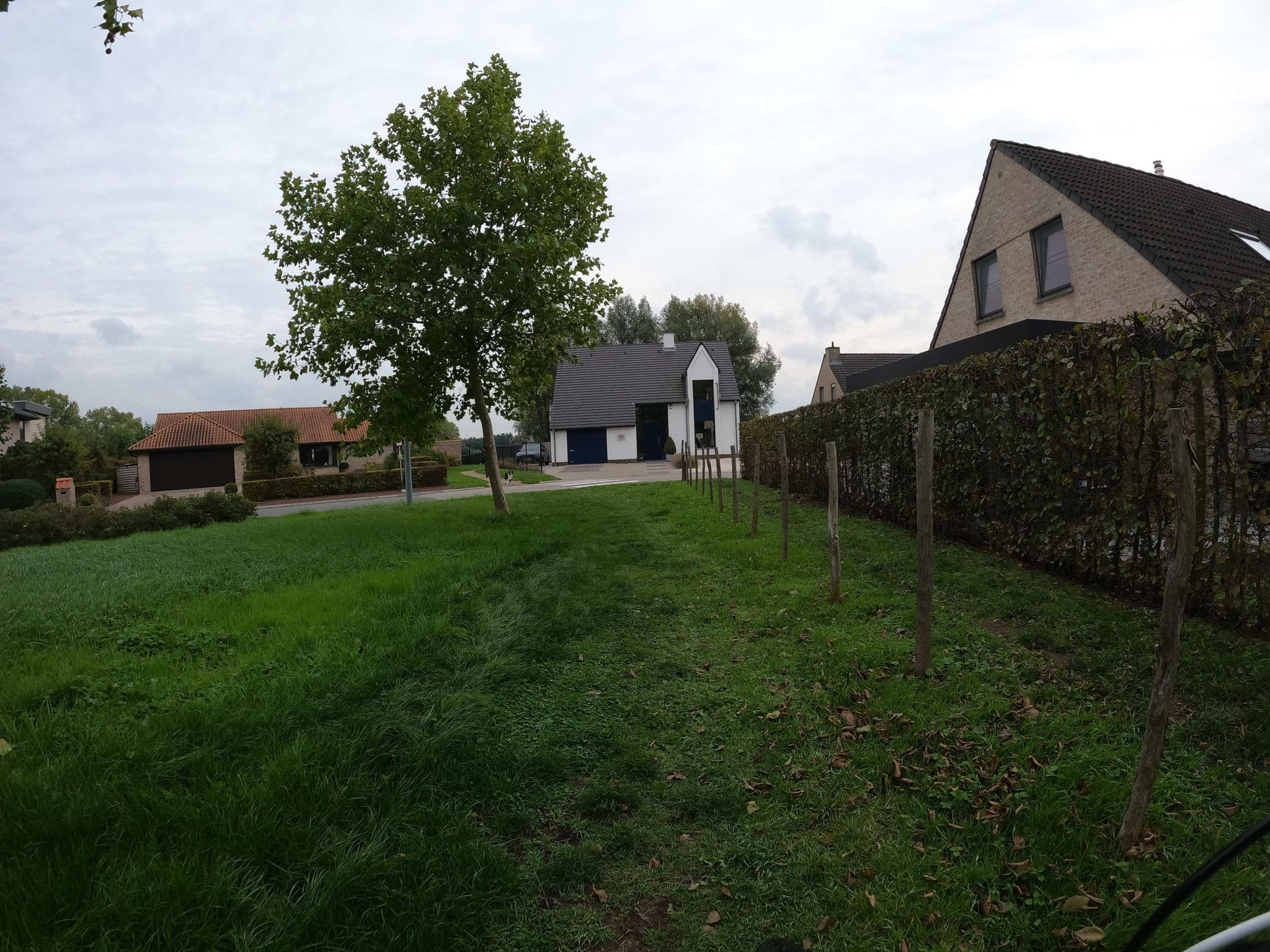 Street view near Fleur's Bloembak 🌷, Tielt — © thibaultmol (CC BY-SA · Mapillary)