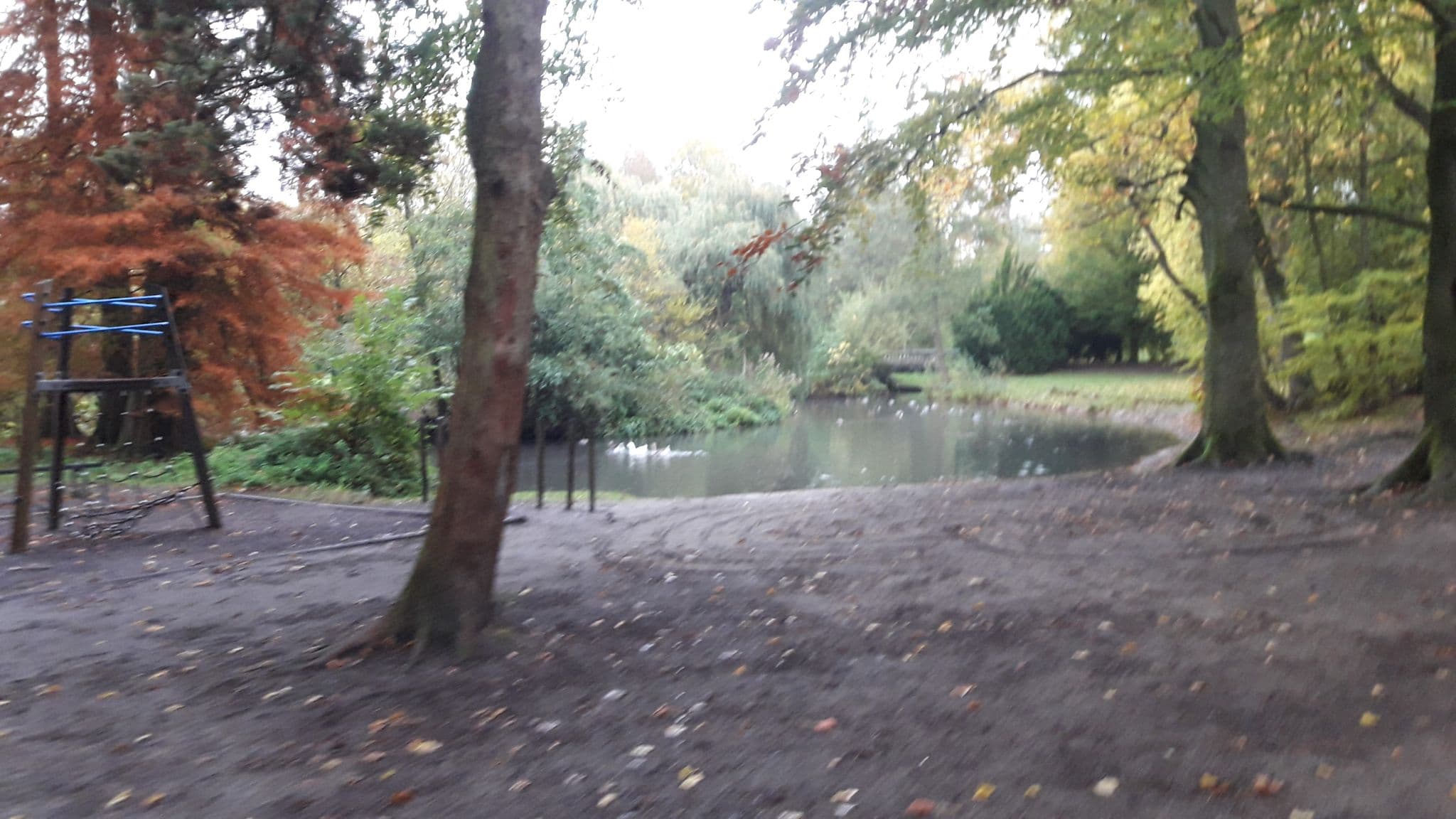 Street view near Koetshuis, Lokeren — © rover8 (CC BY-SA · Mapillary)