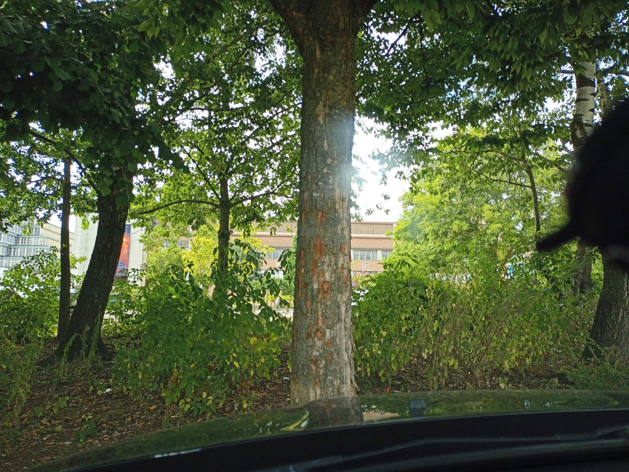 Street view near Thon Hotels, Strombeek-Bever — © xdTAGCLAN (CC BY-SA · Mapillary)