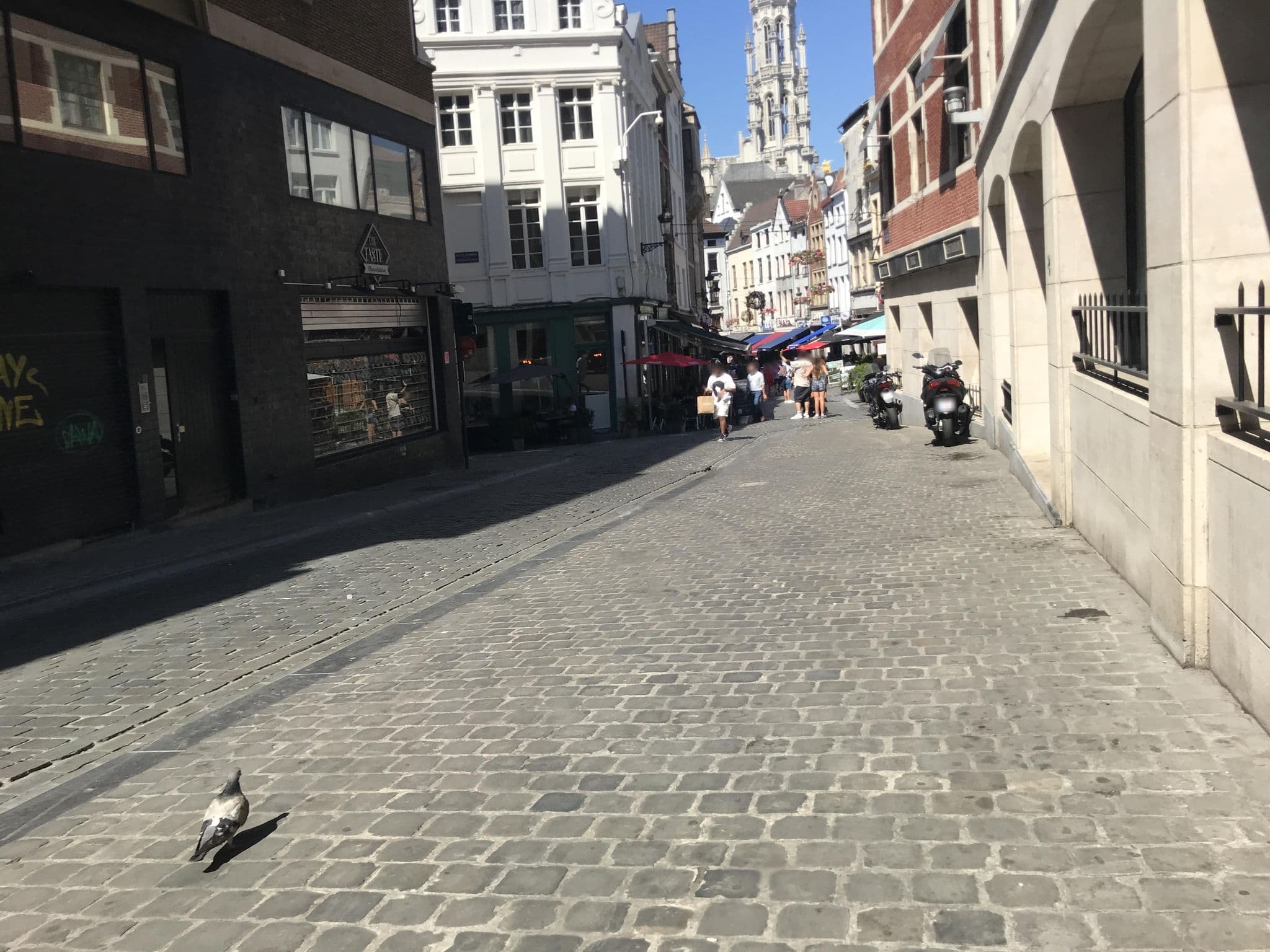 Street view near Waytostay, Brussels — © miguel_andrade (CC BY-SA · Mapillary)