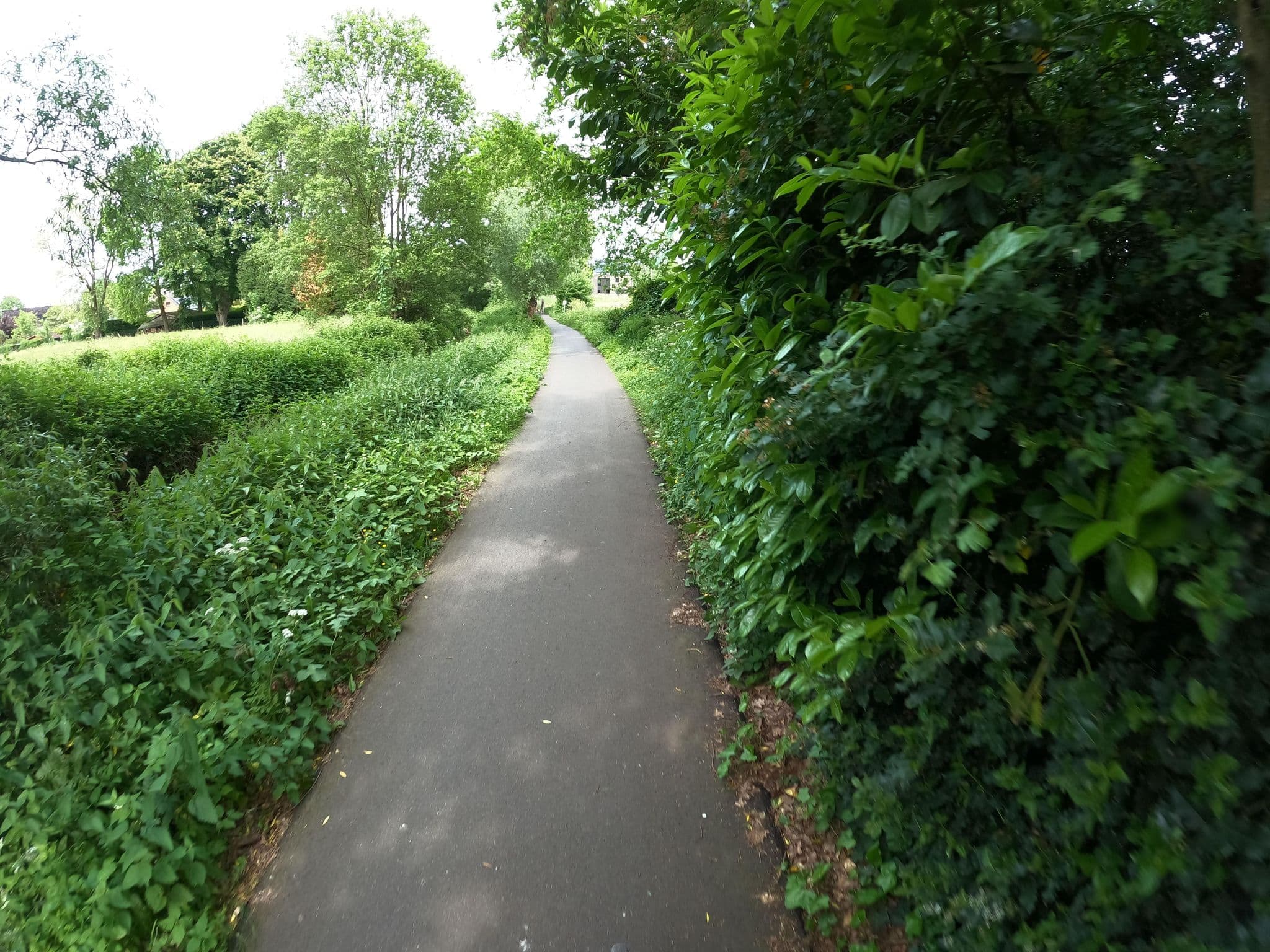 Street view near Predikherenhoeve, Boom — © koninklijke (CC BY-SA · Mapillary)