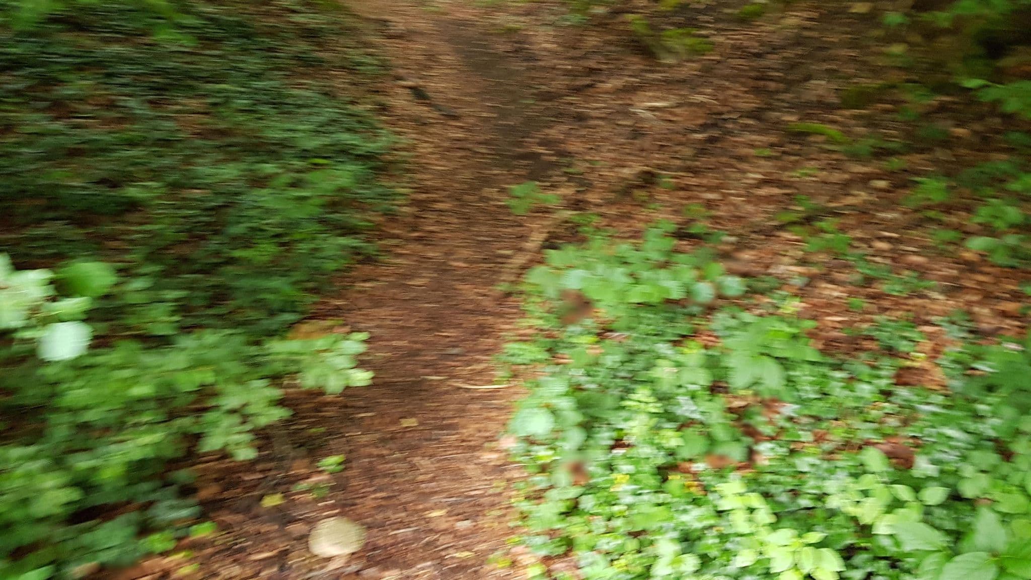 Street view near chambre 194, Anseremme — © multi_wandel (CC BY-SA · Mapillary)