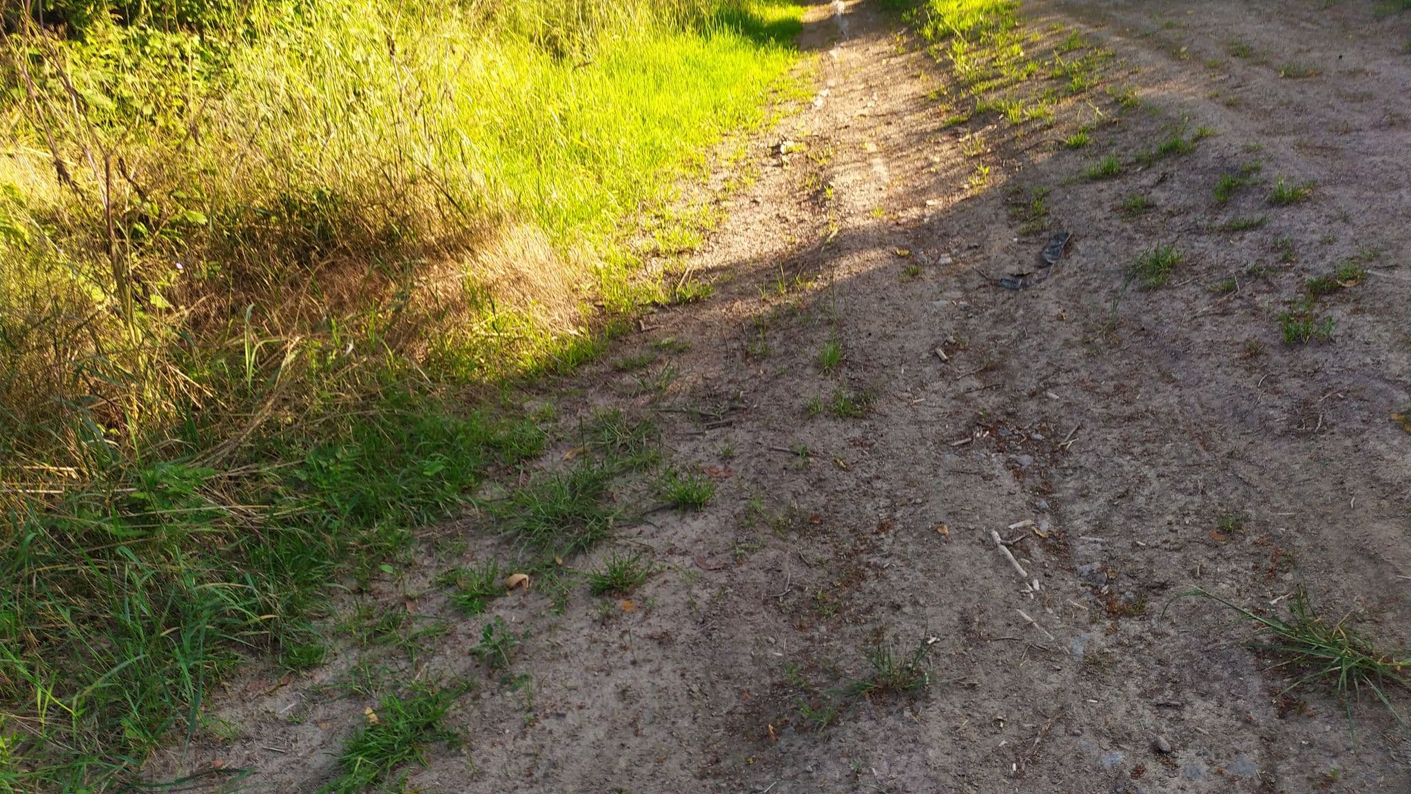 Street view near Les Grisons, Houyet — © bhiker (CC BY-SA · Mapillary)