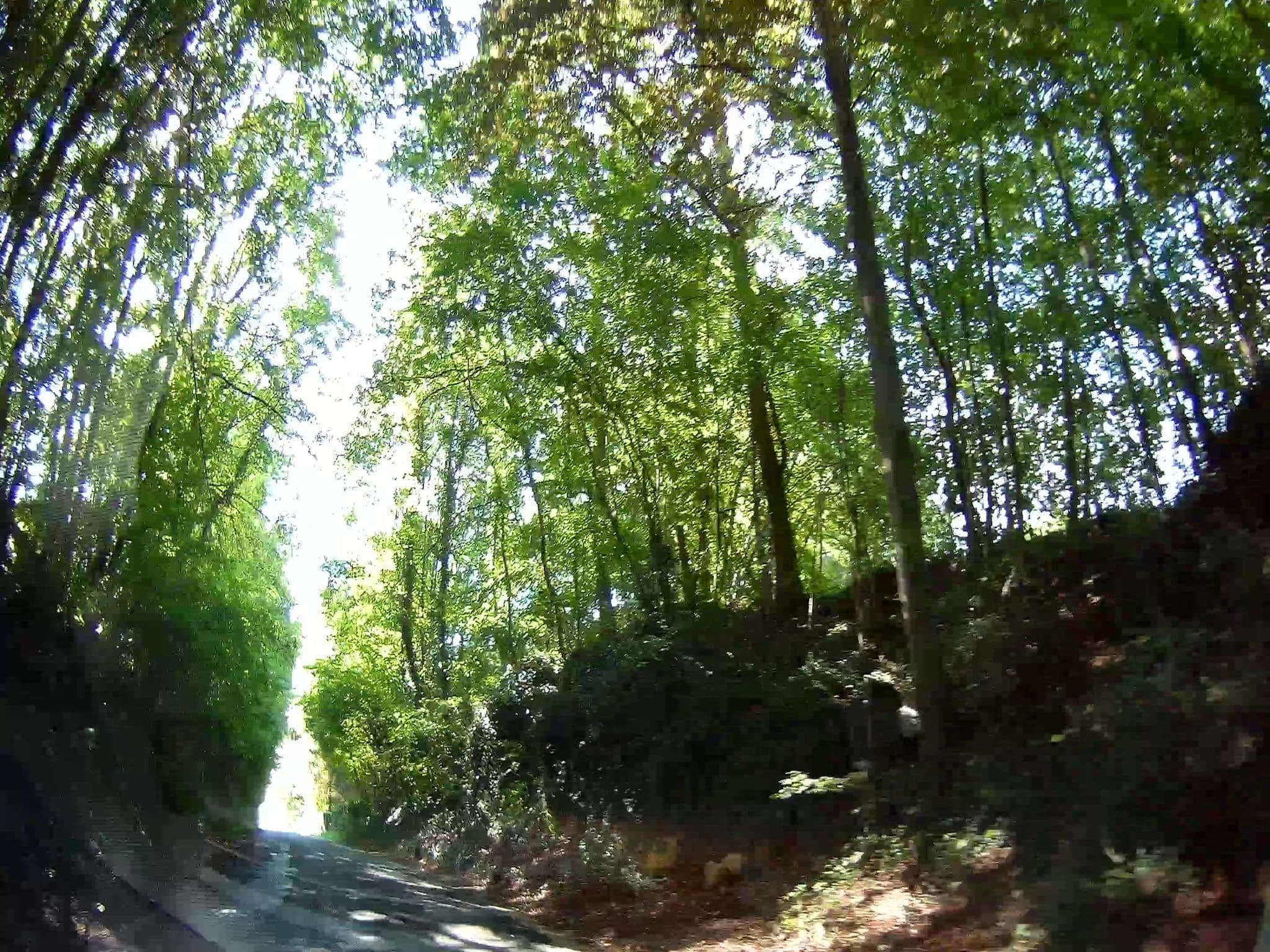 Street view near La Baronnie, Bioul — © fuchserl (CC BY-SA · Mapillary)