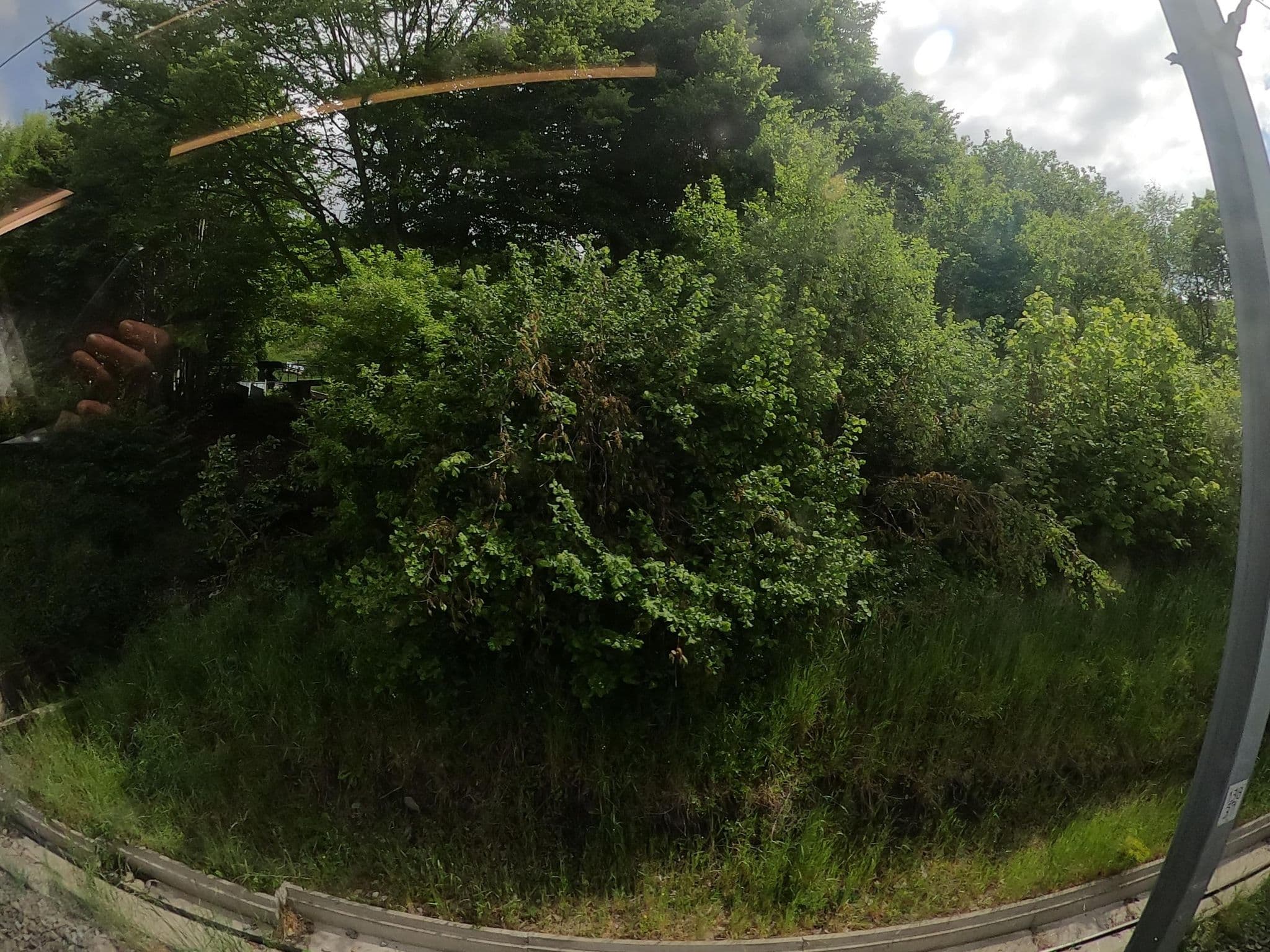 Street view near Vakantiehuisje, Arville — © RaphaelPasLoin (CC BY-SA · Mapillary)