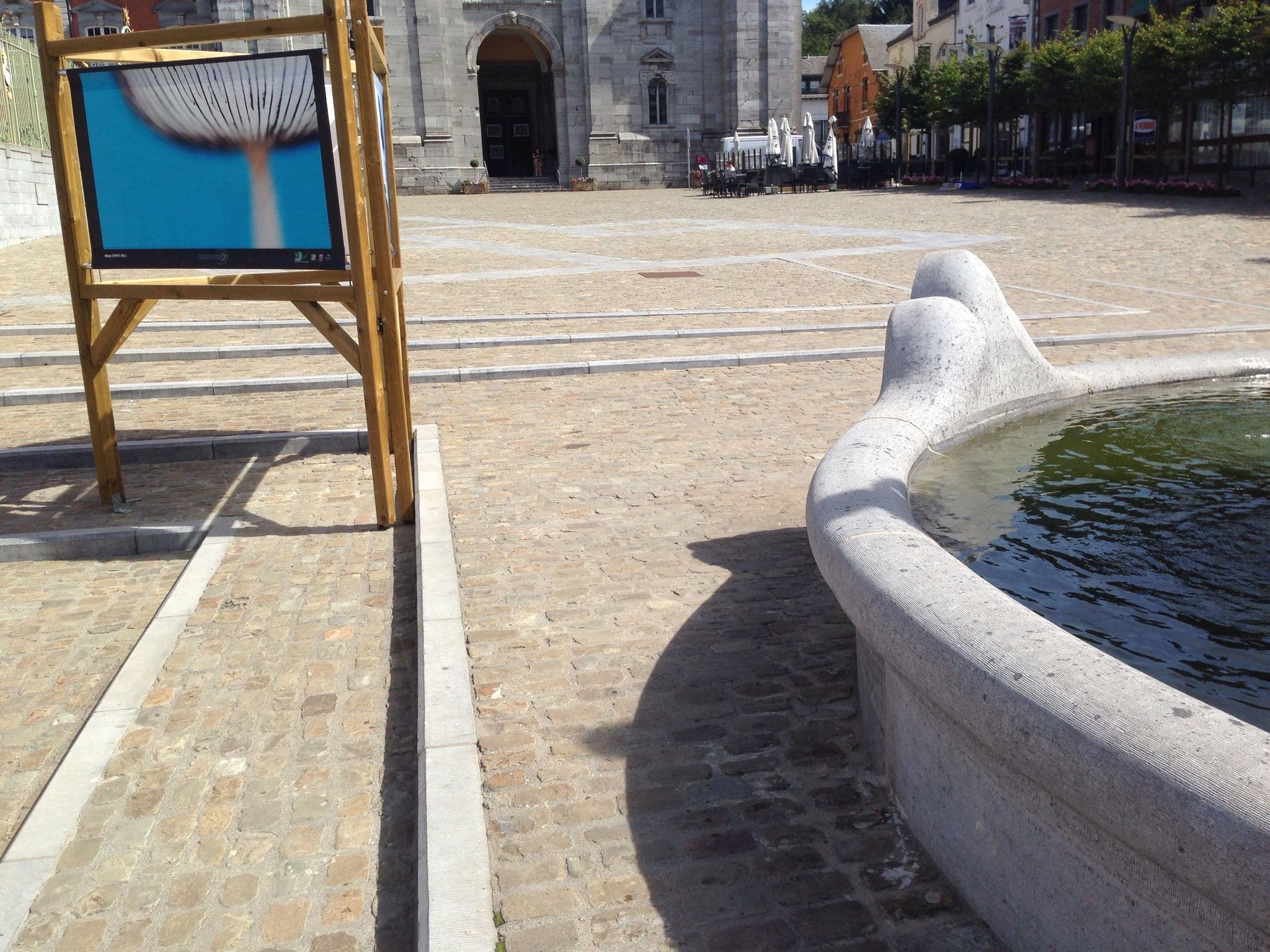 Street view near Le camelia, Saint-Hubert — © zors1843 (CC BY-SA · Mapillary)