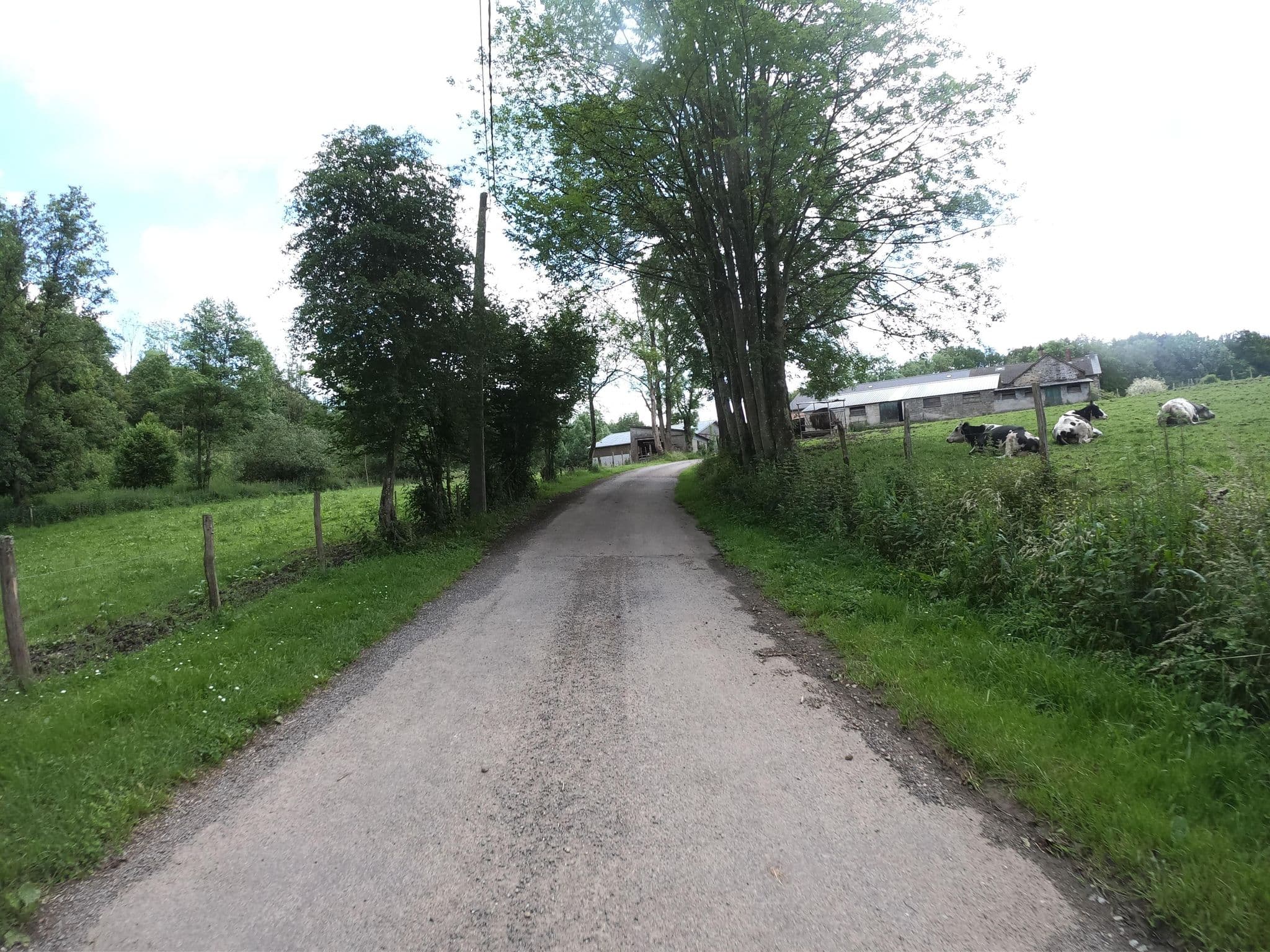 Street view near La Gotale B&B, Manhay — © joostjakob (CC BY-SA · Mapillary)