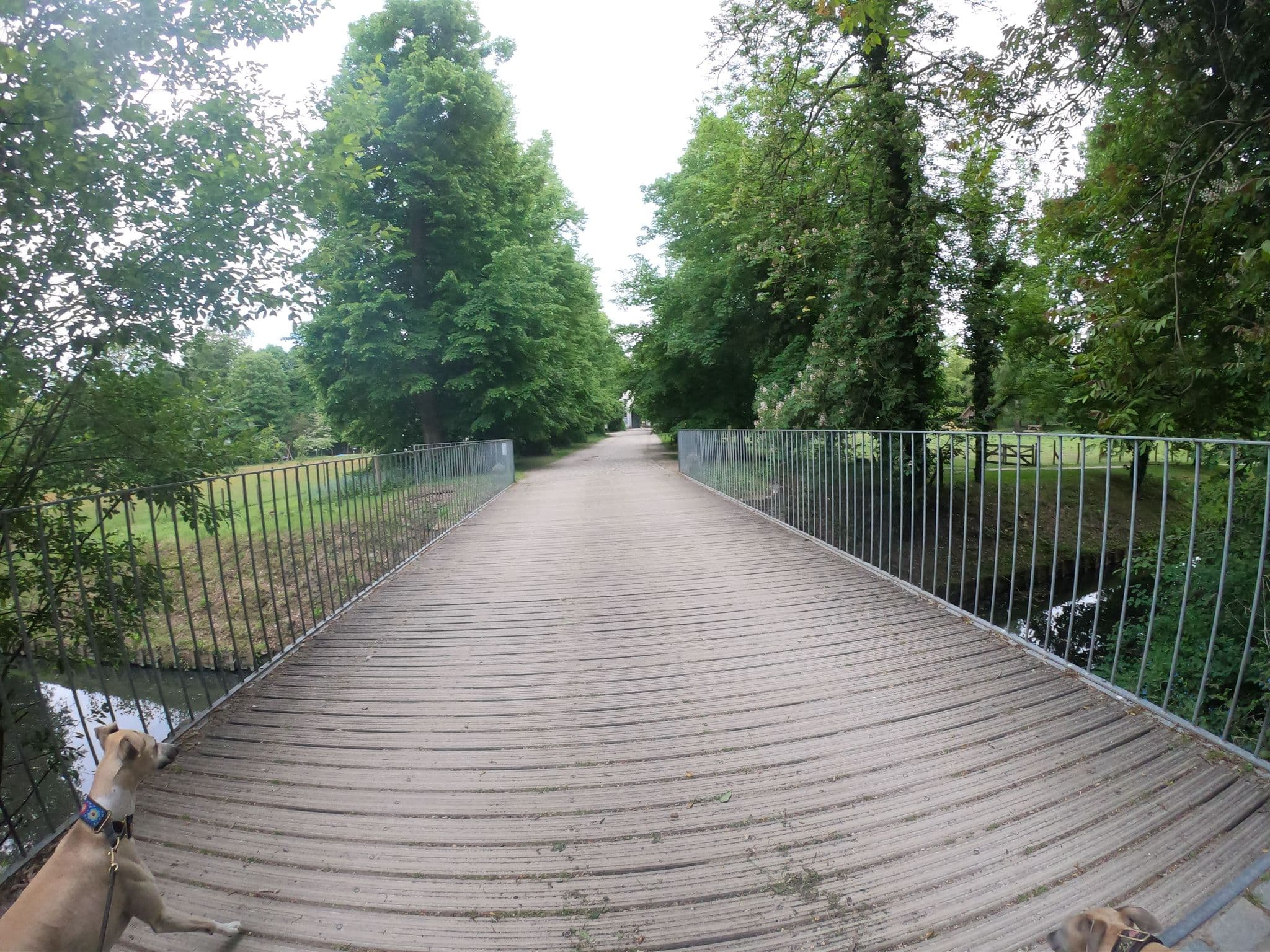 Street view near Roosendael vzw, Walem — © escada (CC BY-SA · Mapillary)