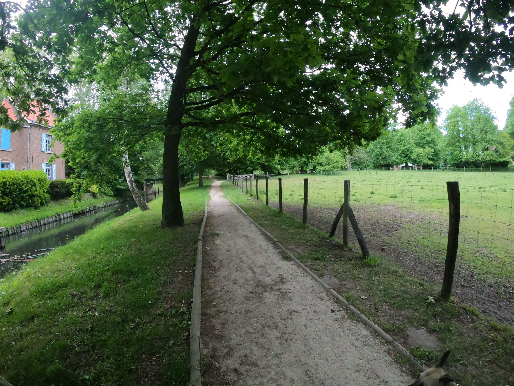 Street view near Grachthuis, Walem — © escada (CC BY-SA · Mapillary)