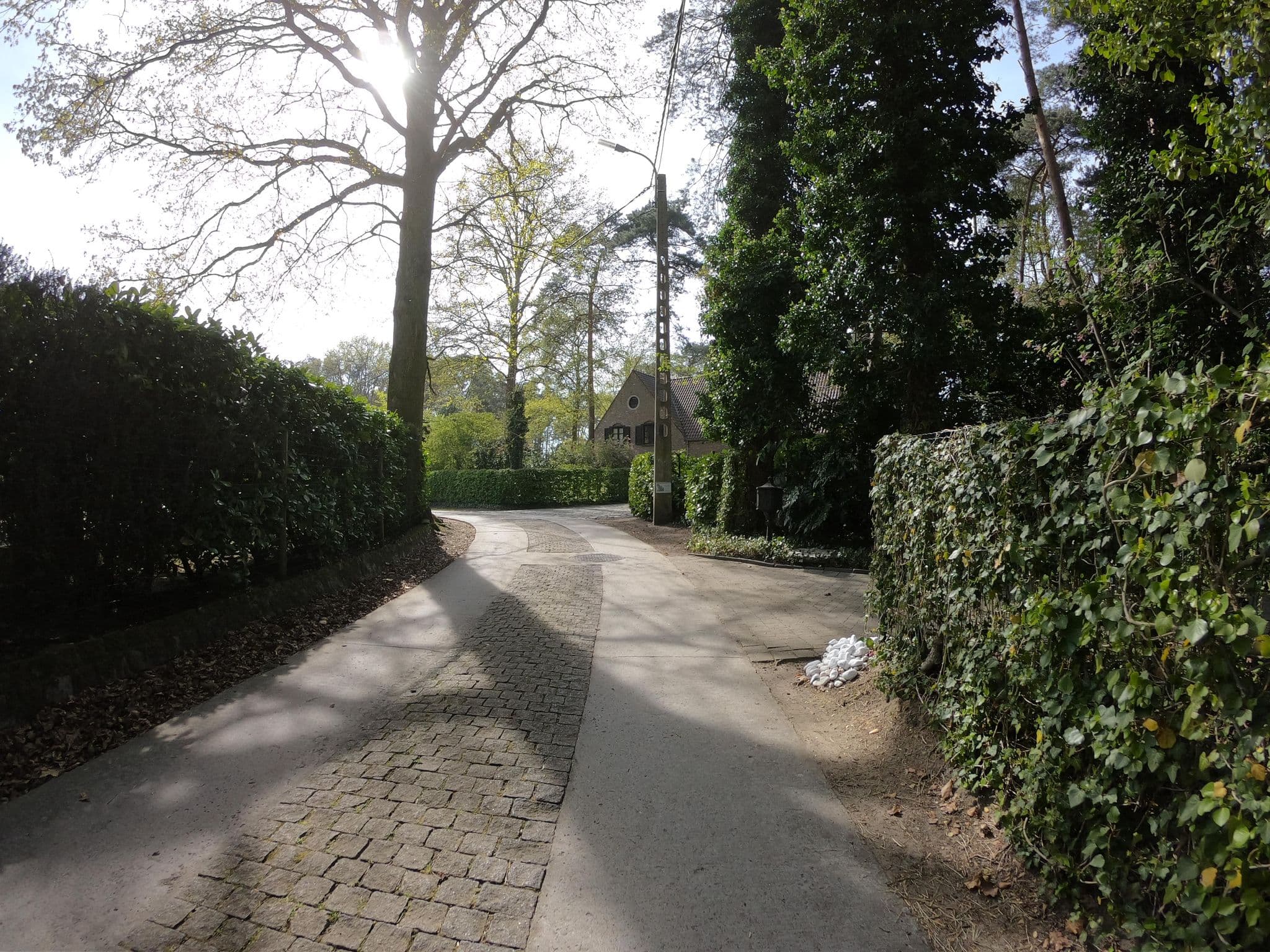 Street view near Bonten os, Rijmenam — © filipc (CC BY-SA · Mapillary)