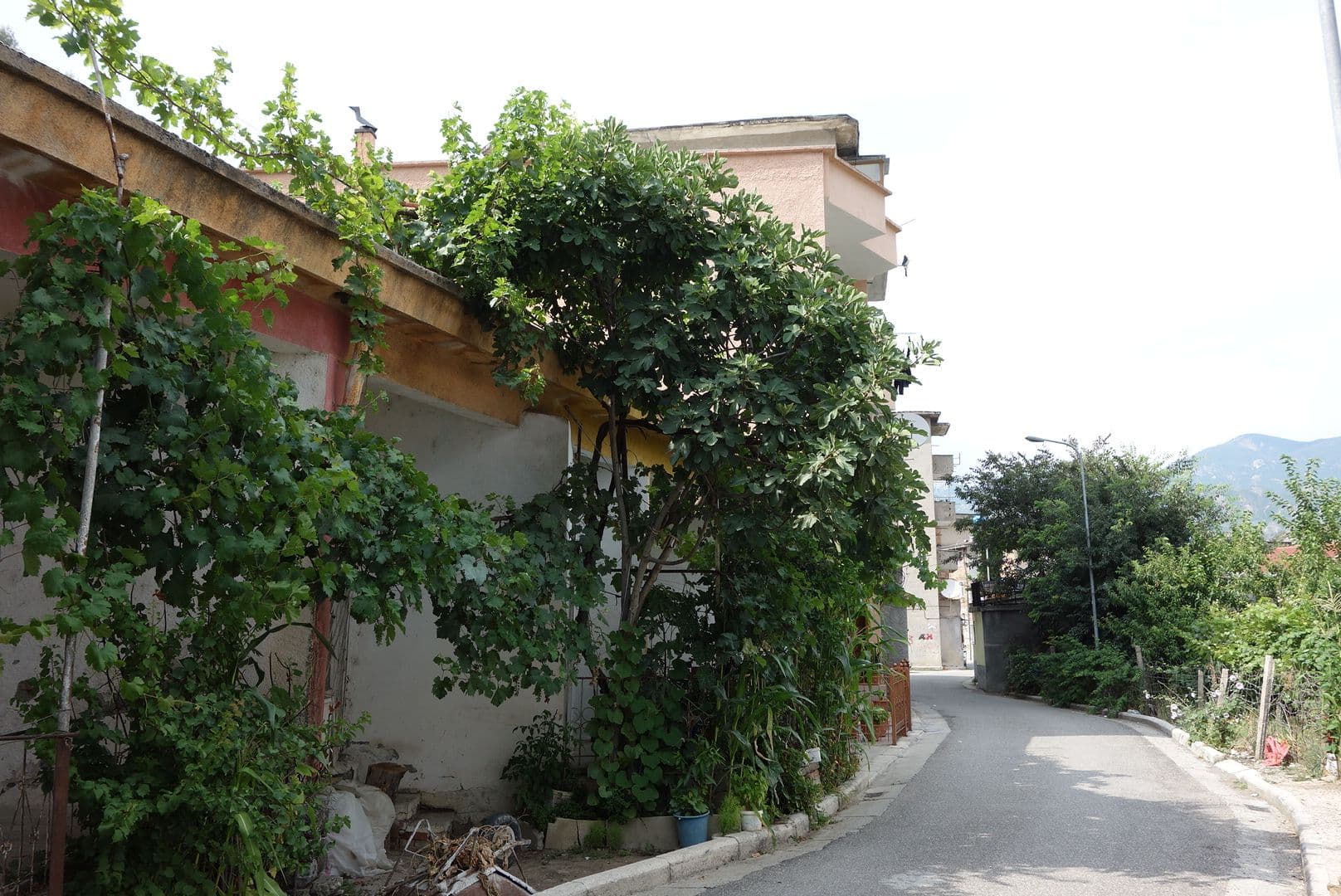 Street view near Ilir guesthouse, Përmet — © malenki (CC BY-SA · Mapillary)
