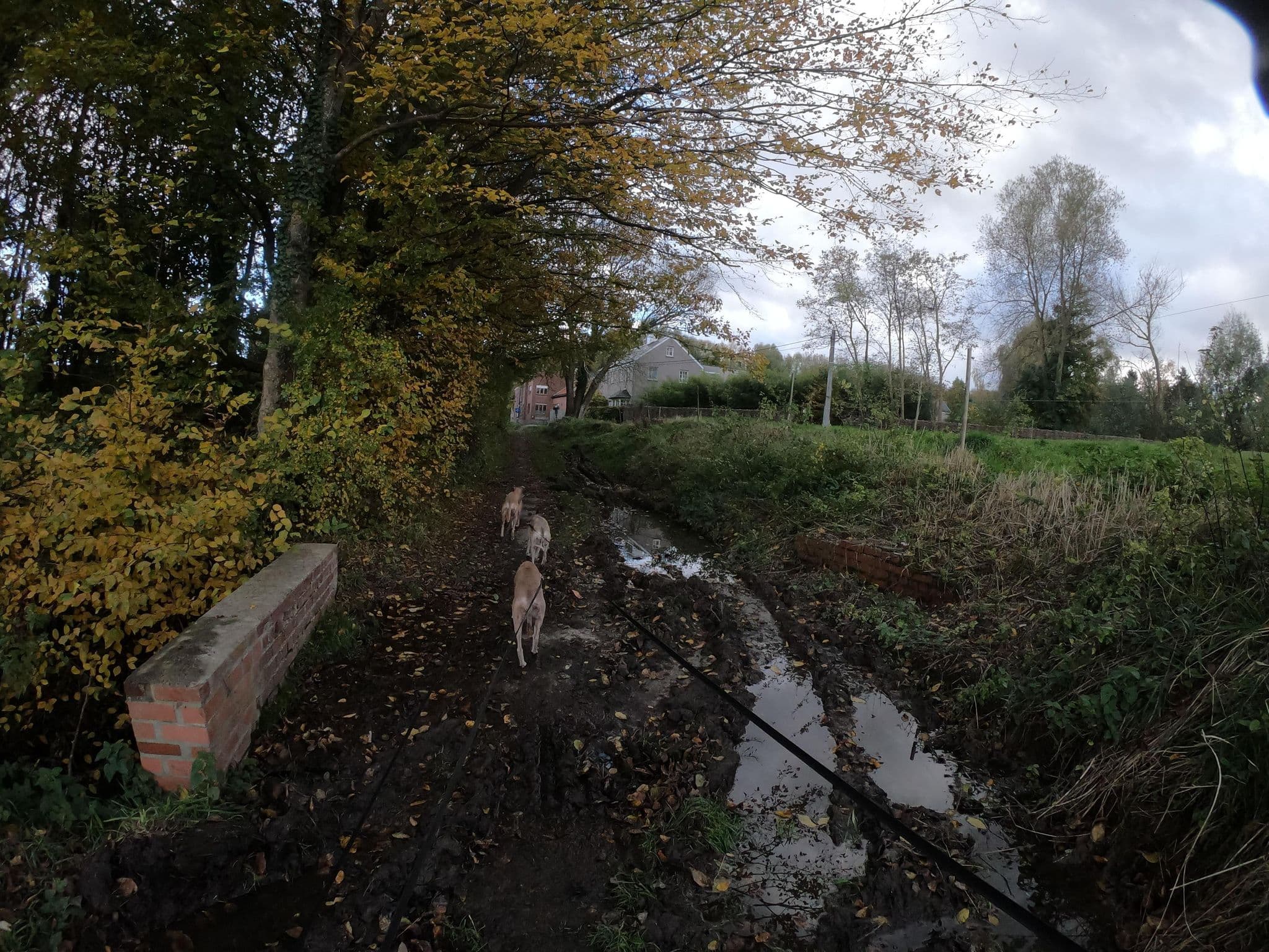 Street view near Huilewind, Opvelp — © escada (CC BY-SA · Mapillary)