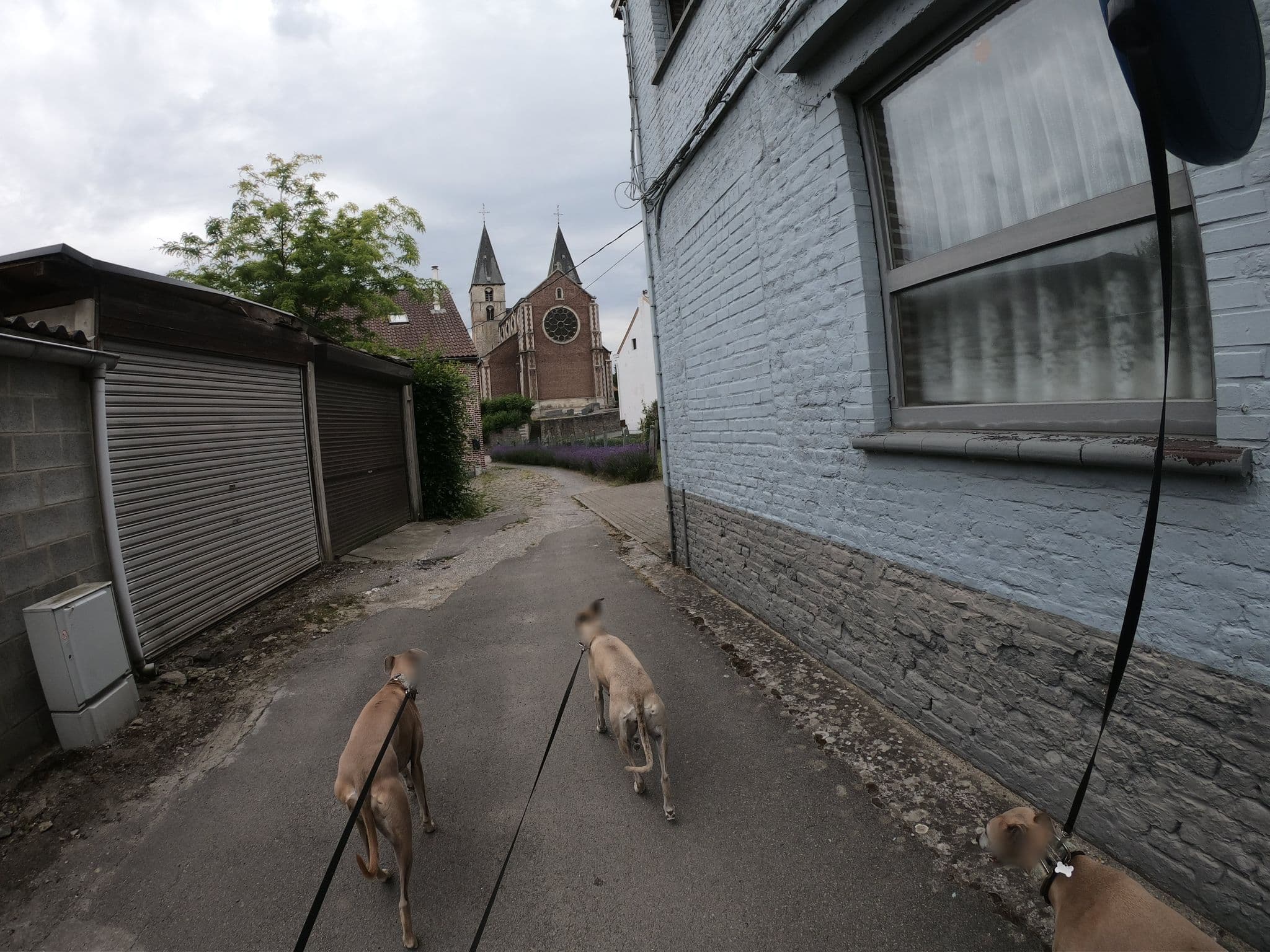 Street view near B&B De Smidse, Neerijse — © escada (CC BY-SA · Mapillary)