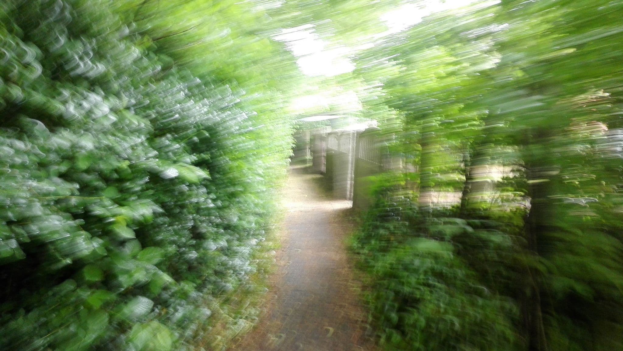 Street view near B&B 52, Blauwput — © polyglot (CC BY-SA · Mapillary)