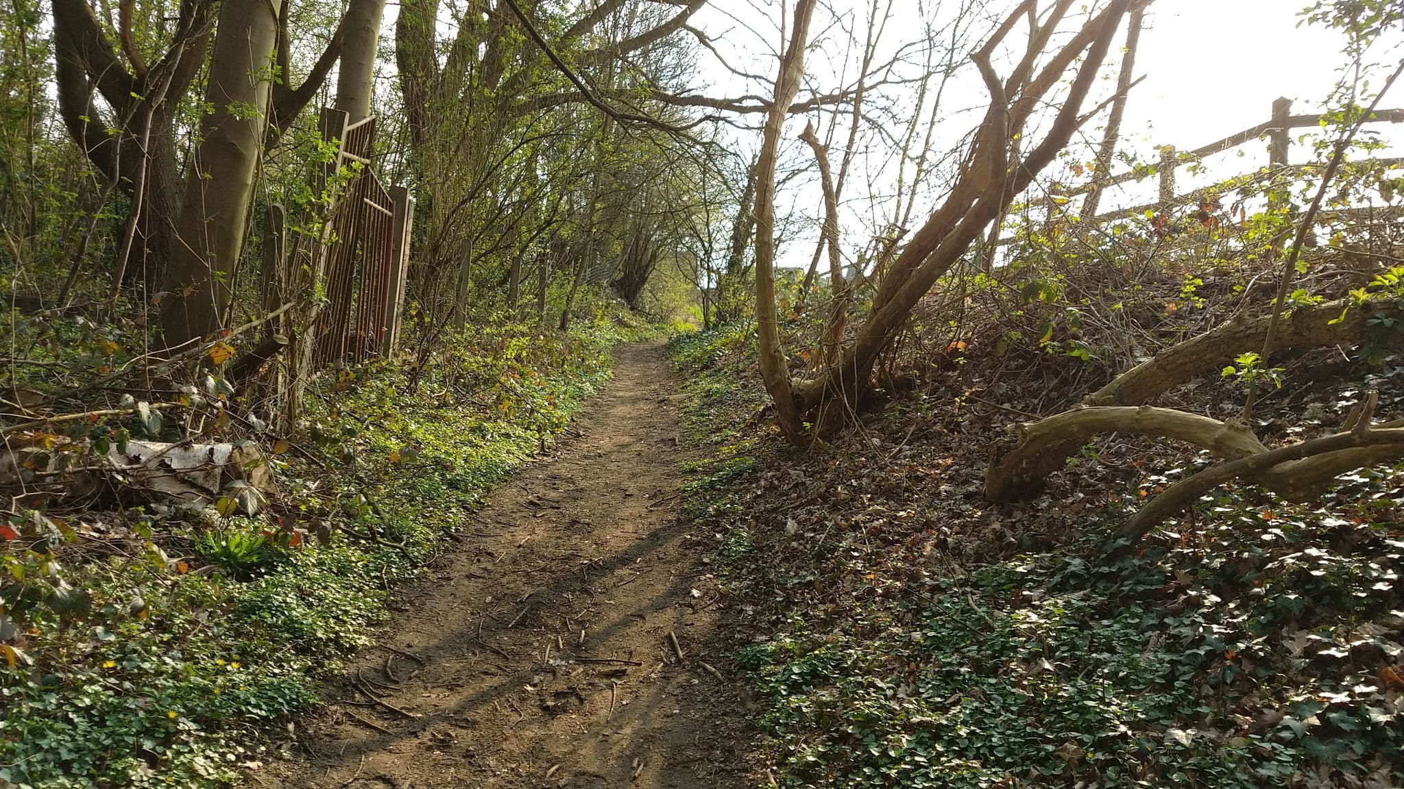 Street view near Gastenkamers Marleen Verbiest, Kessel-Lo — © polyglot (CC BY-SA · Mapillary)