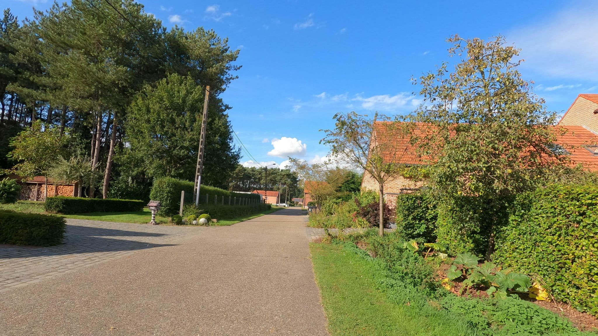 Street view near Linushoeve, Herselt — © koninklijke (CC BY-SA · Mapillary)