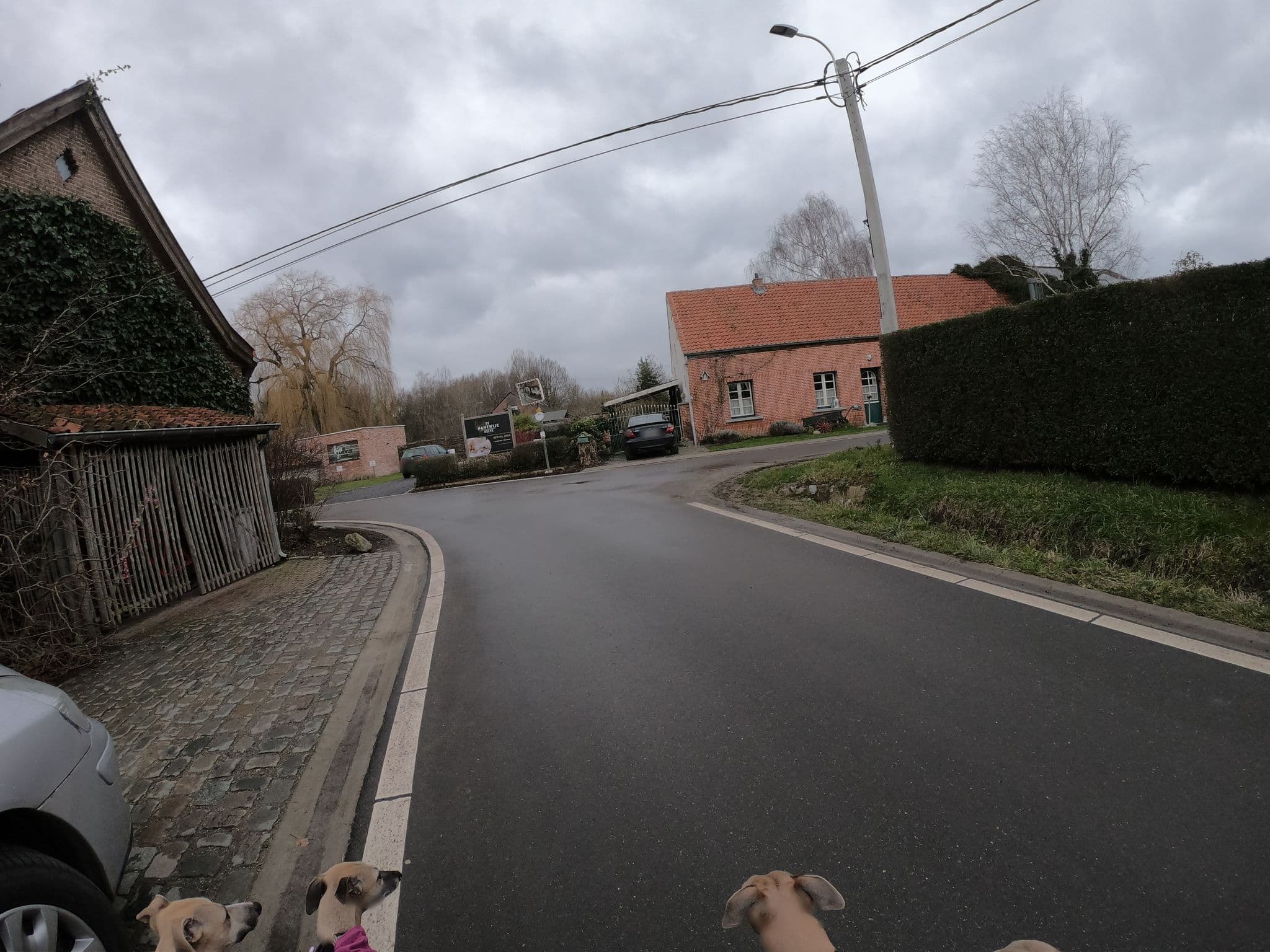 Street view near B&B De Hanewijkhoeve, Werchter — © escada (CC BY-SA · Mapillary)
