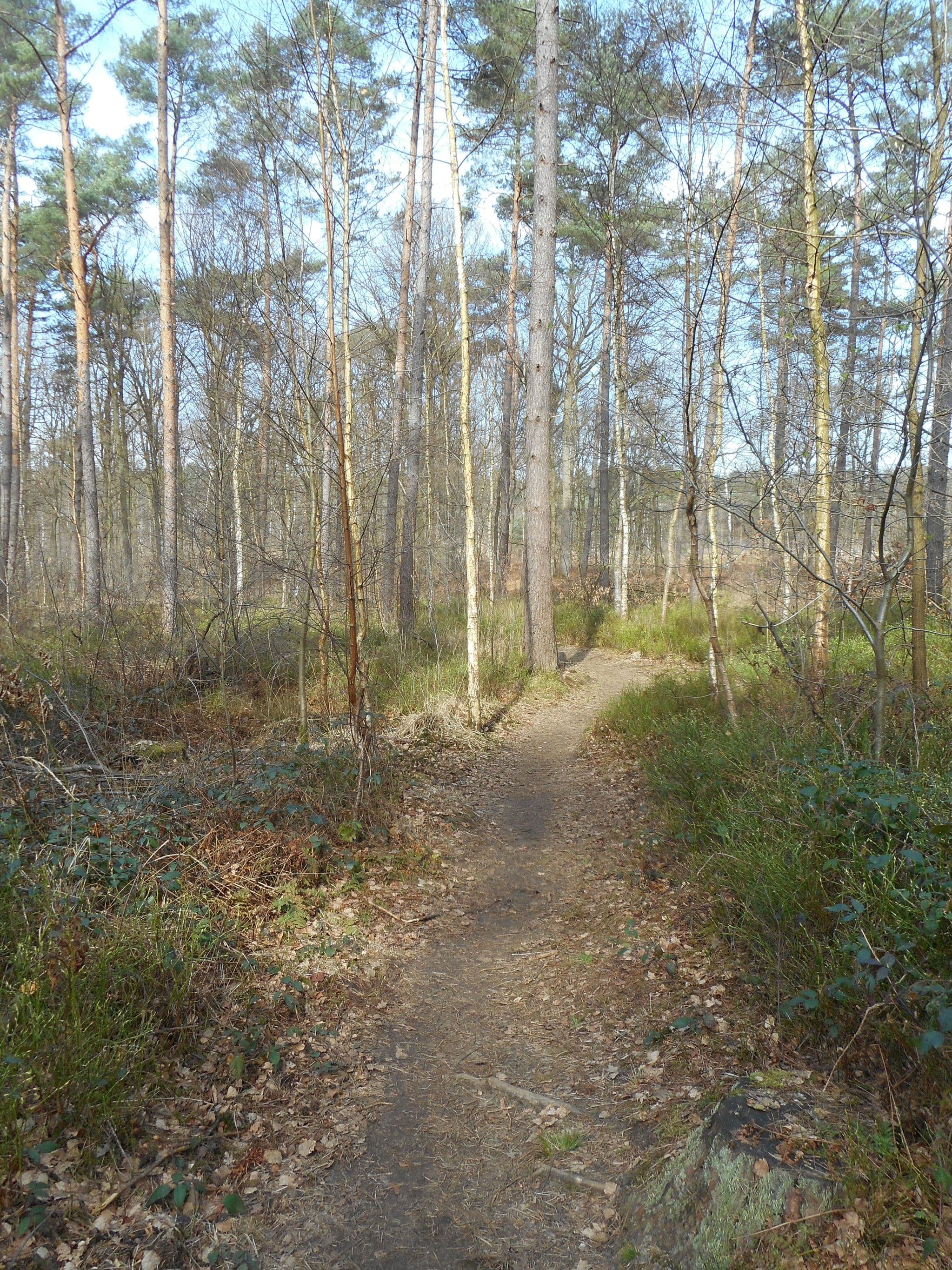 Street view near thagaste, Averbode — © koninklijke (CC BY-SA · Mapillary)
