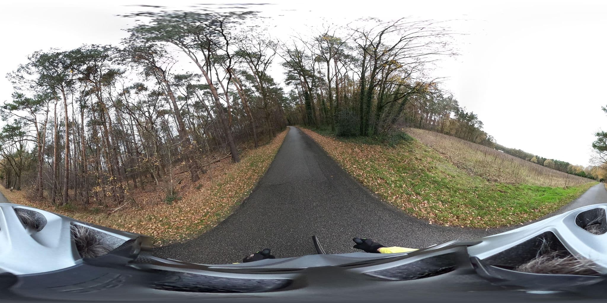 Street view near Villa 768, Zutendaal — © Eebie (CC BY-SA · Mapillary)