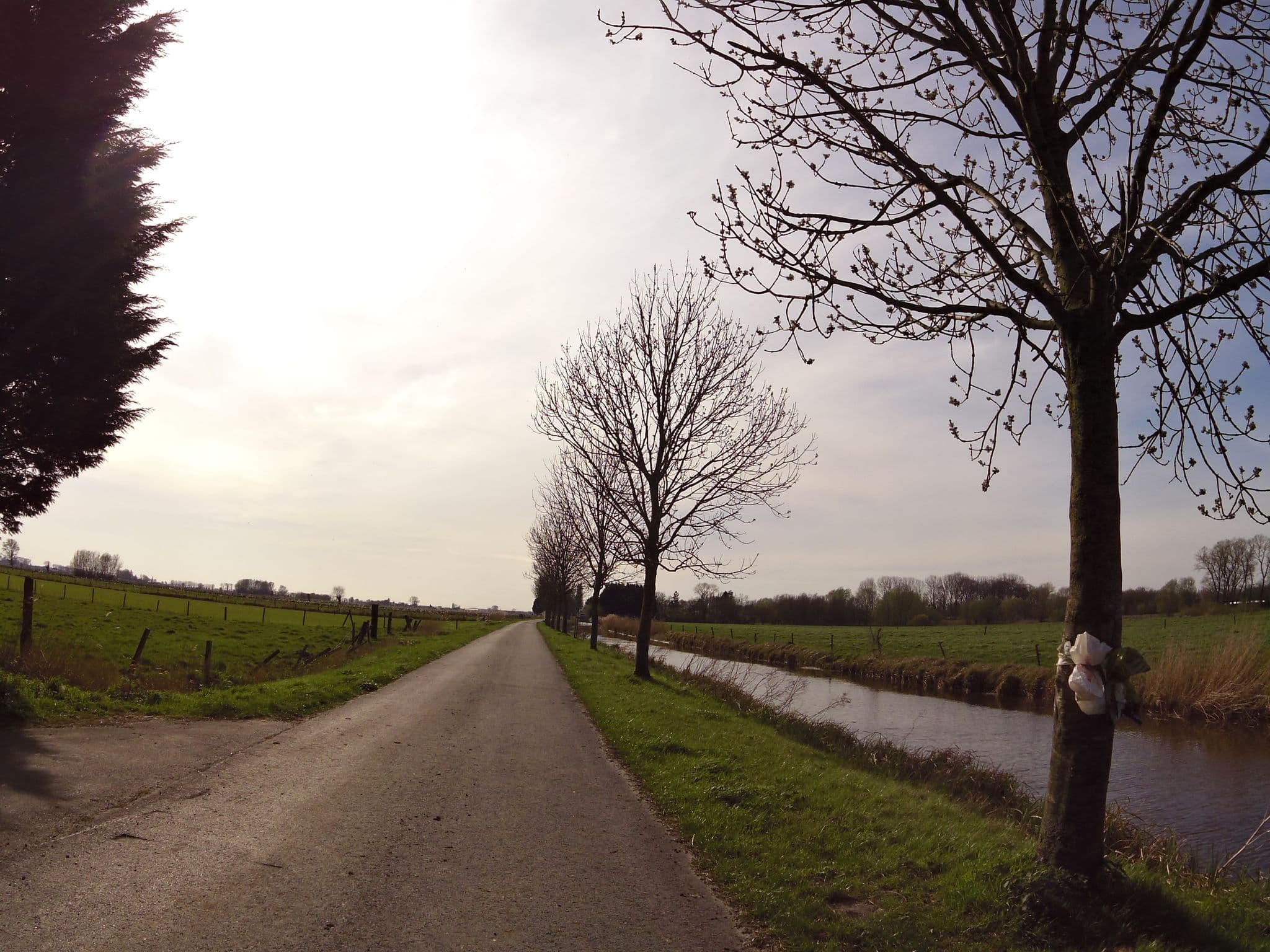 Street view near De Zwarte Zwaantjes, Westkerke — © zors1843 (CC BY-SA · Mapillary)
