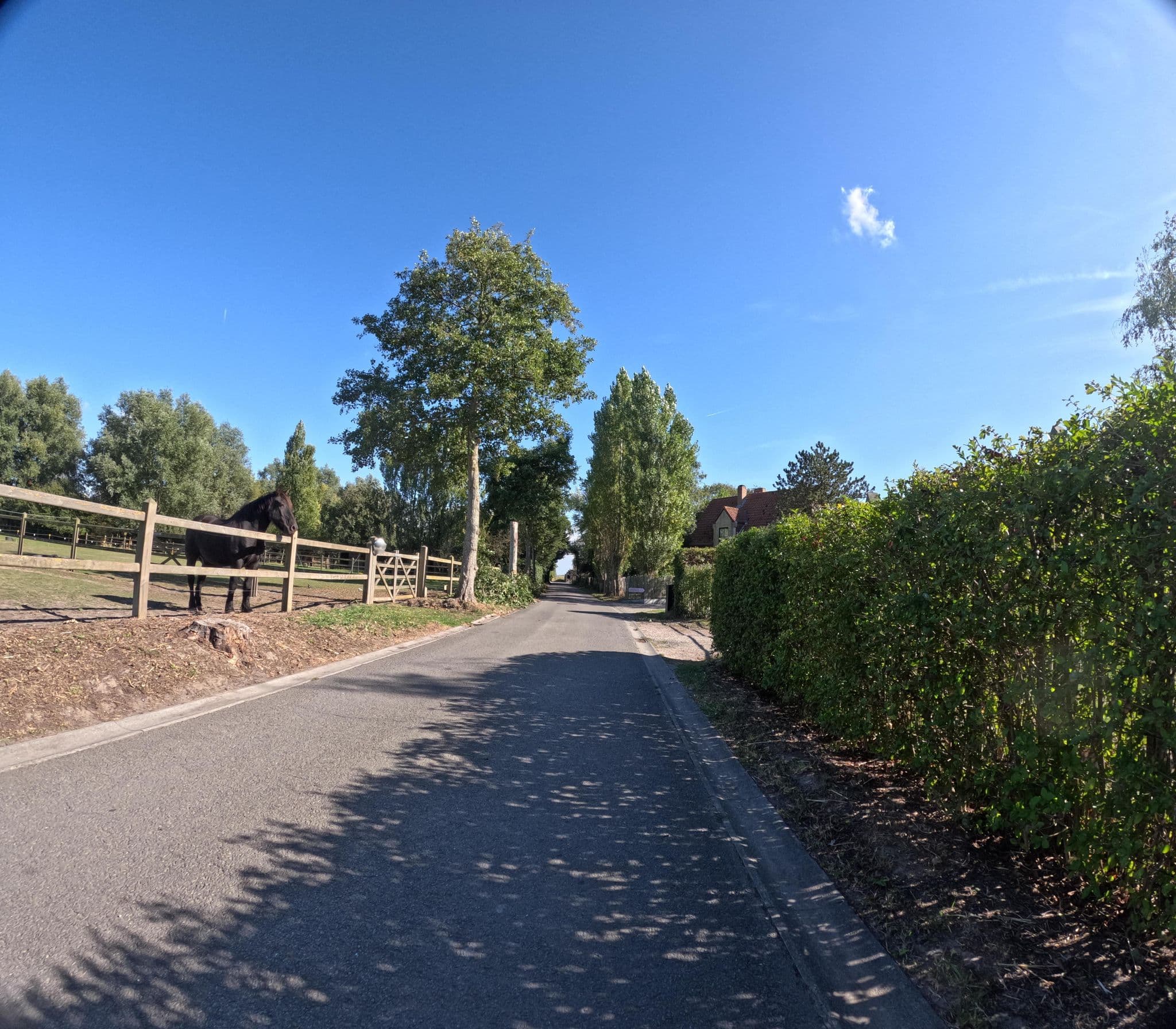 Street view near 't Valkennestje, Klemskerke — © filipc (CC BY-SA · Mapillary)