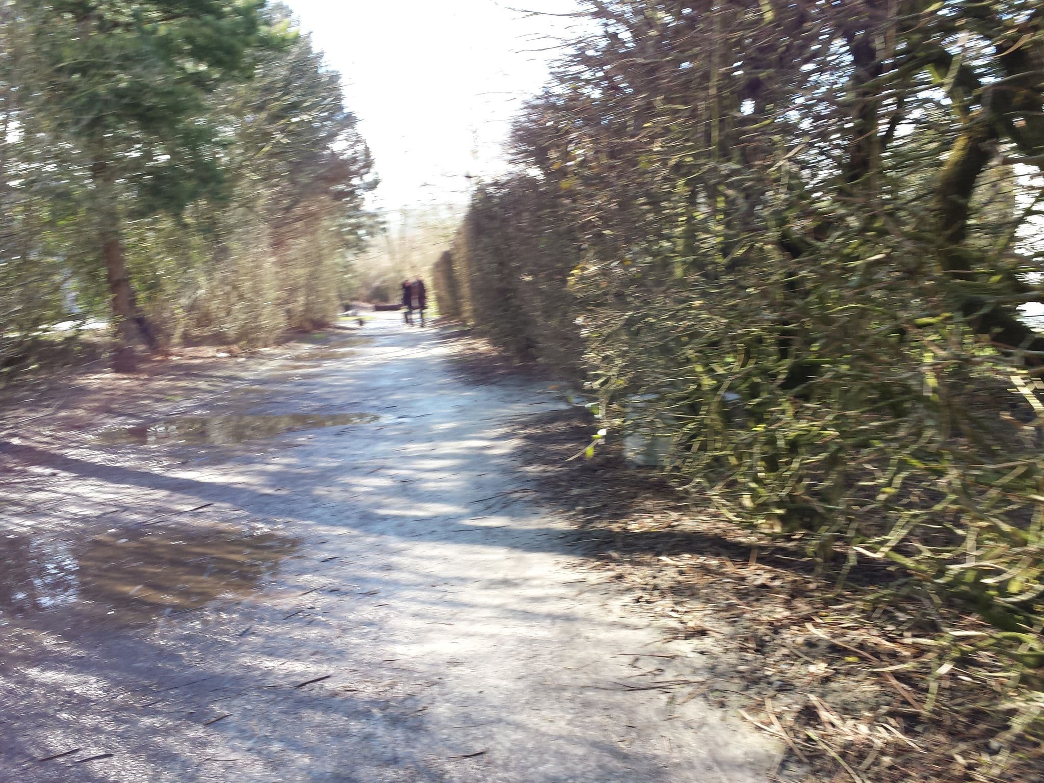 Street view near Vakantiehuis 302, Wenduine — © vincent_95 (CC BY-SA · Mapillary)
